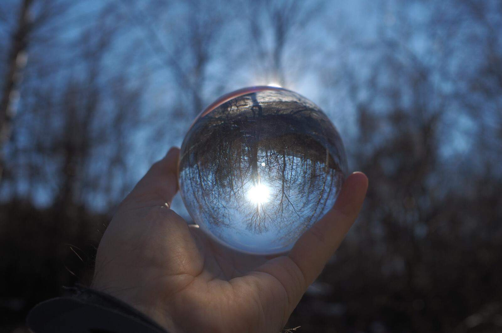 Bild ohne Beschreibung