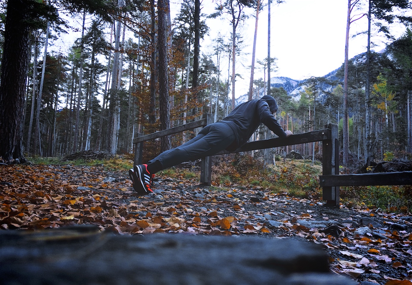 joggen-im-wald 2 joggen-im-wald 2