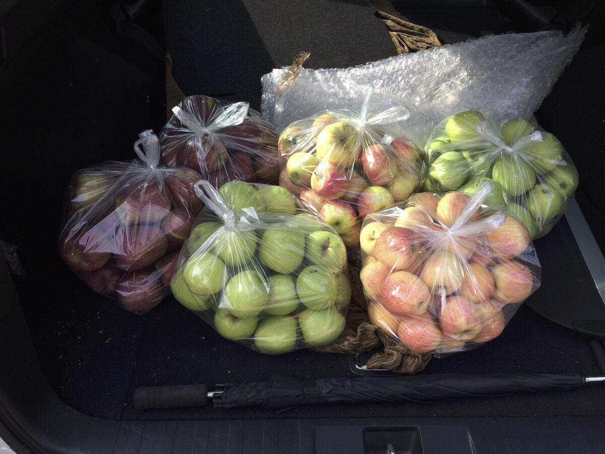 kurztripp_meran-18 kurztripp_meran-18