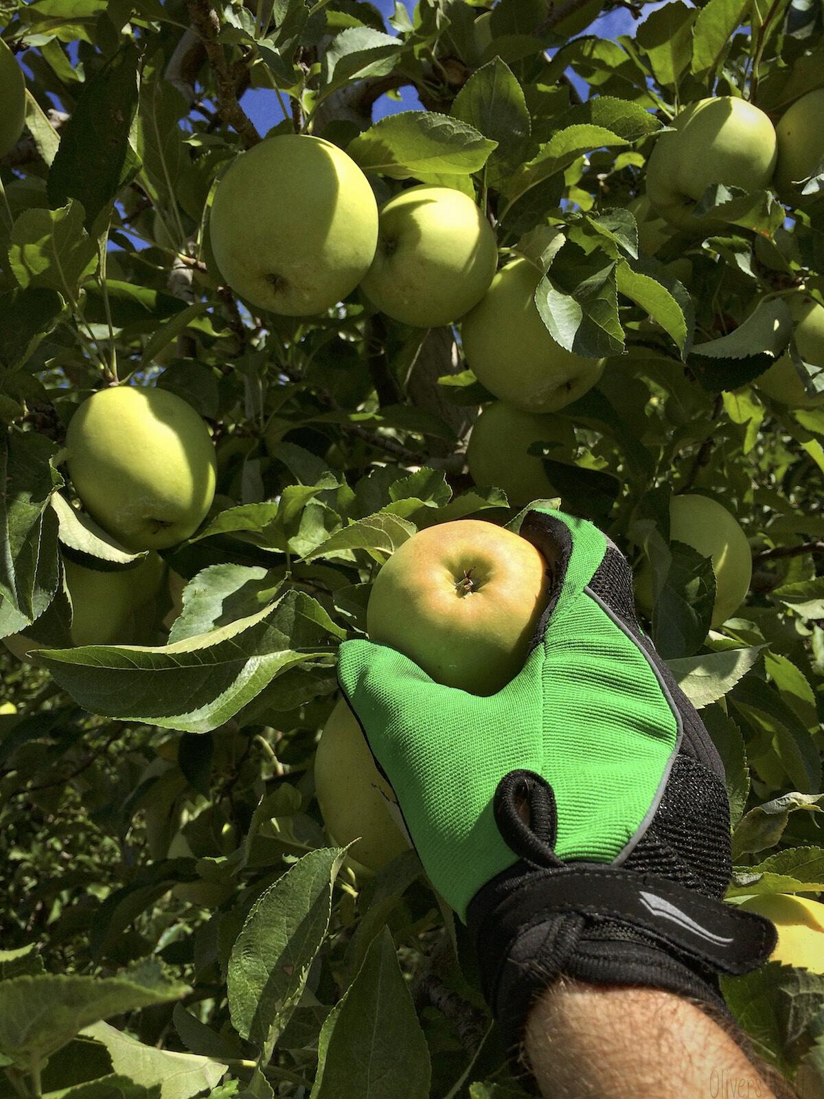 kurztripp_meran-7 kurztripp_meran-7