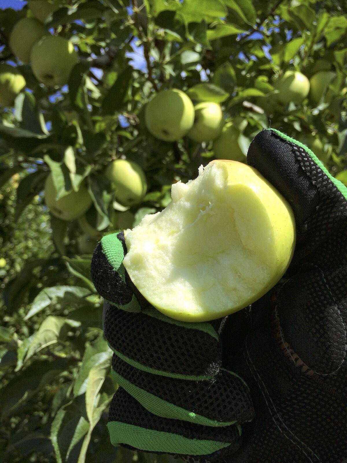 kurztripp_meran-8 kurztripp_meran-8