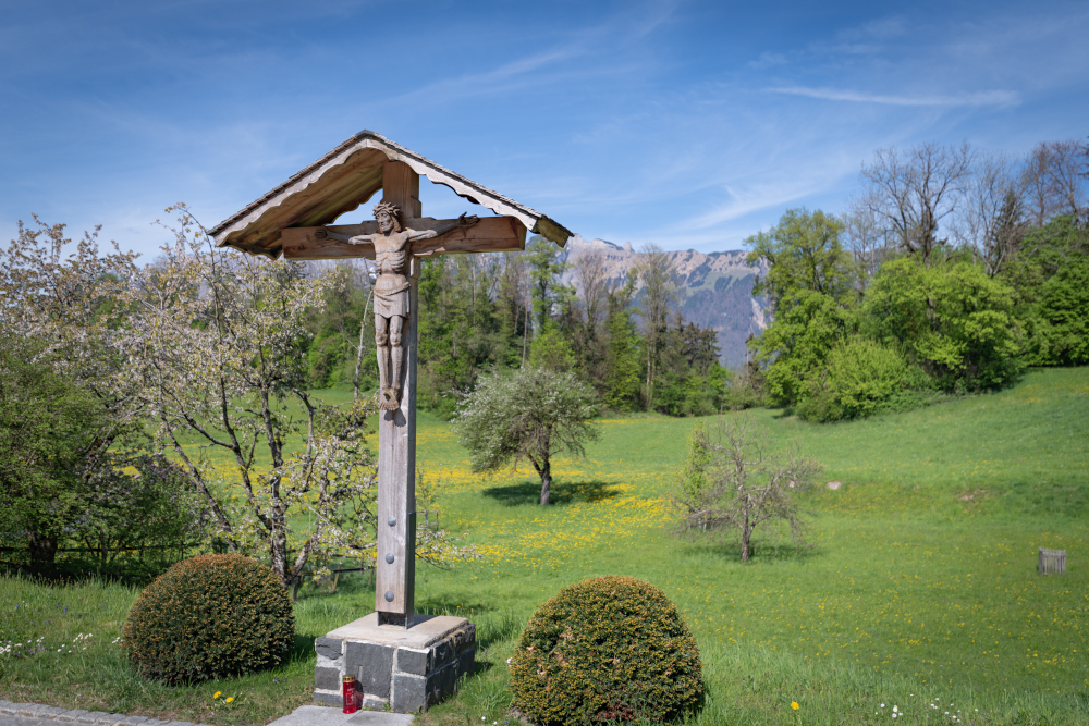 Bild ohne Beschreibung