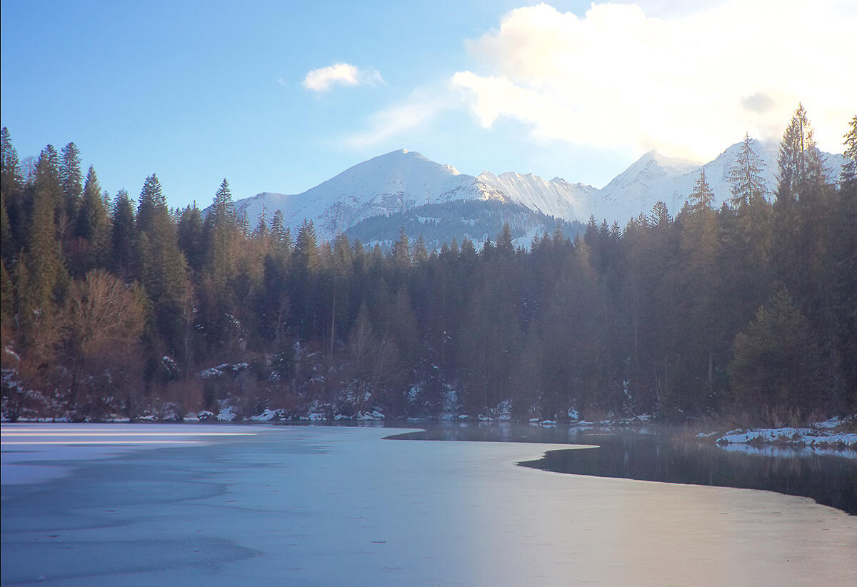 Bild ohne Beschreibung Bild ohne Beschreibung