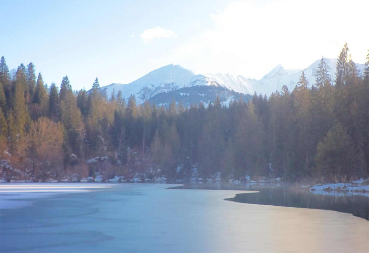 Bild ohne Beschreibung Bild ohne Beschreibung