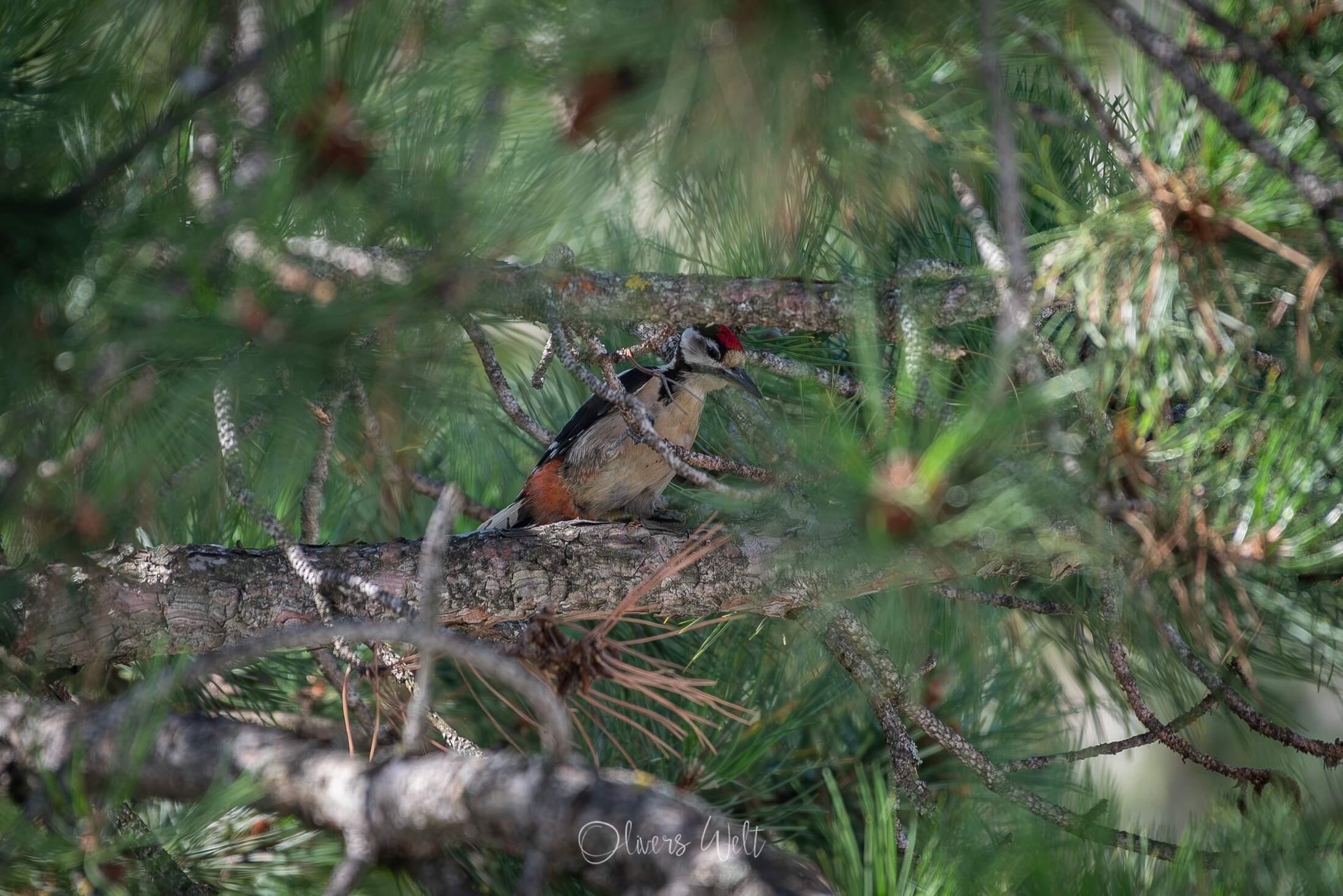 Bild ohne Beschreibung Bild ohne Beschreibung