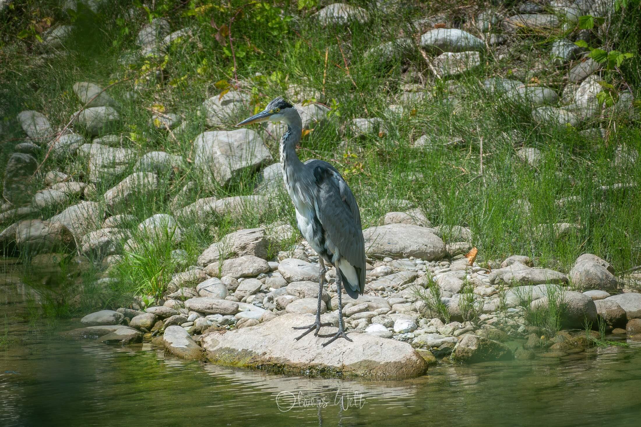 Bild ohne Beschreibung Bild ohne Beschreibung