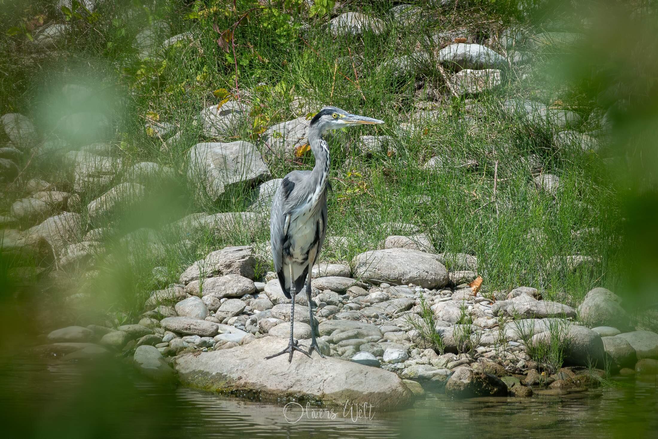 Bild ohne Beschreibung Bild ohne Beschreibung