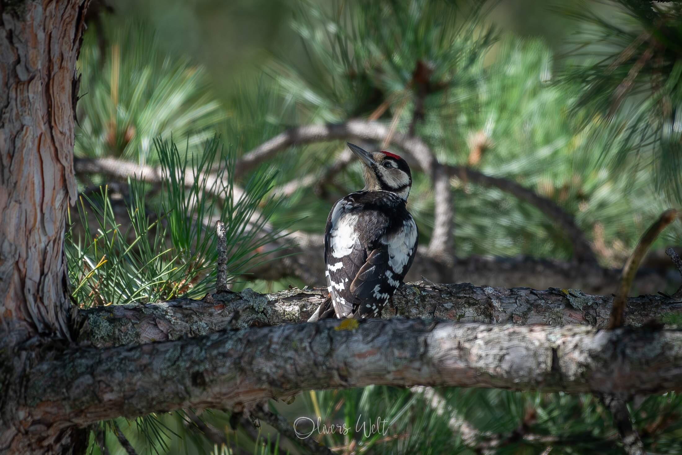 Bild ohne Beschreibung Bild ohne Beschreibung