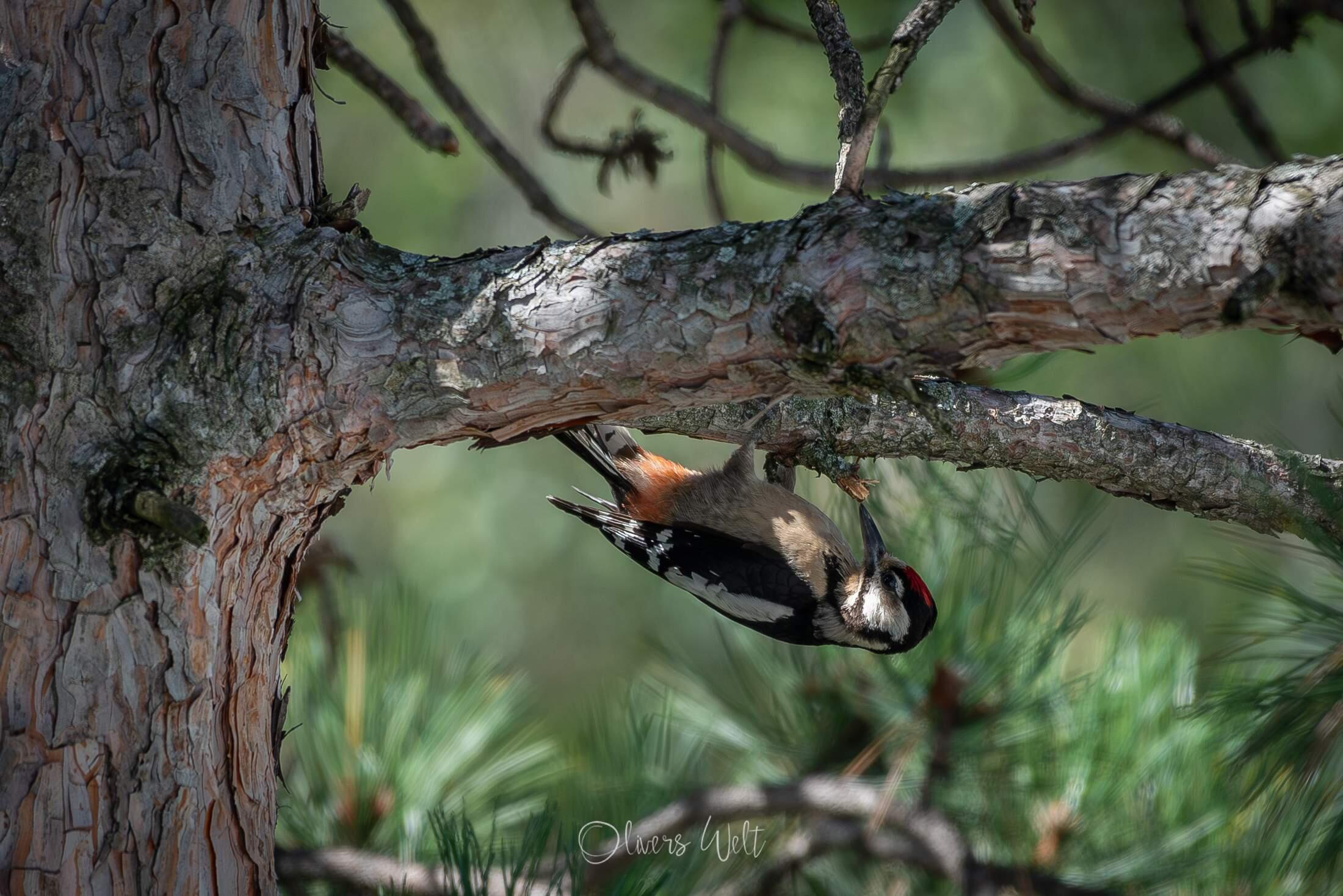 Bild ohne Beschreibung Bild ohne Beschreibung