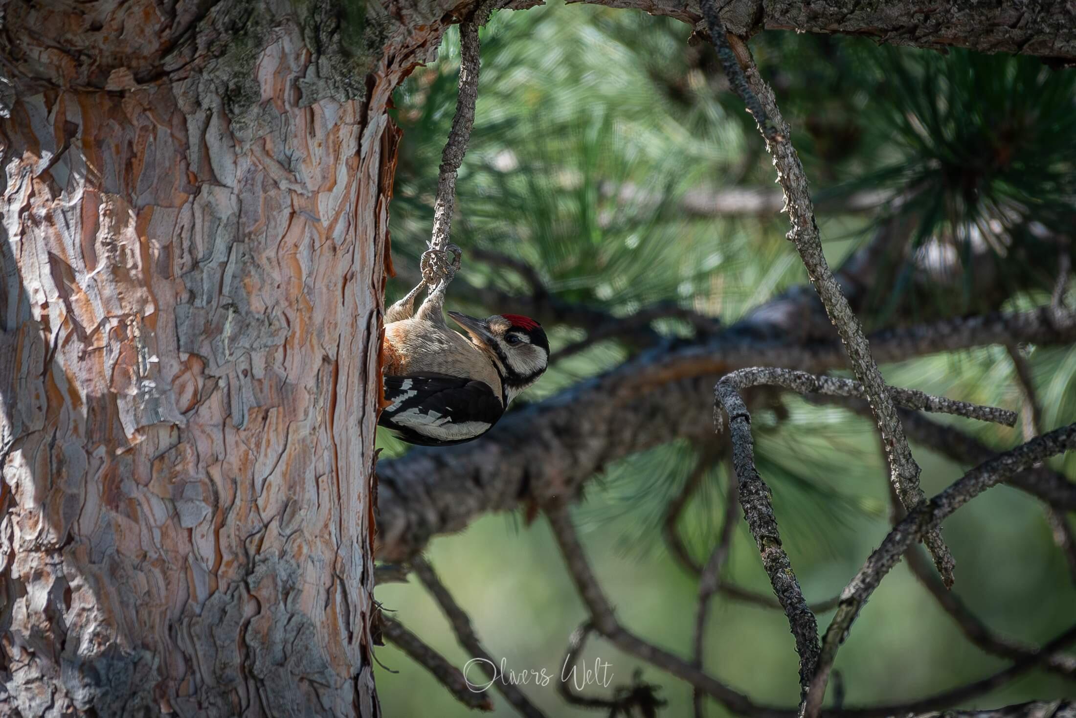 Bild ohne Beschreibung Bild ohne Beschreibung