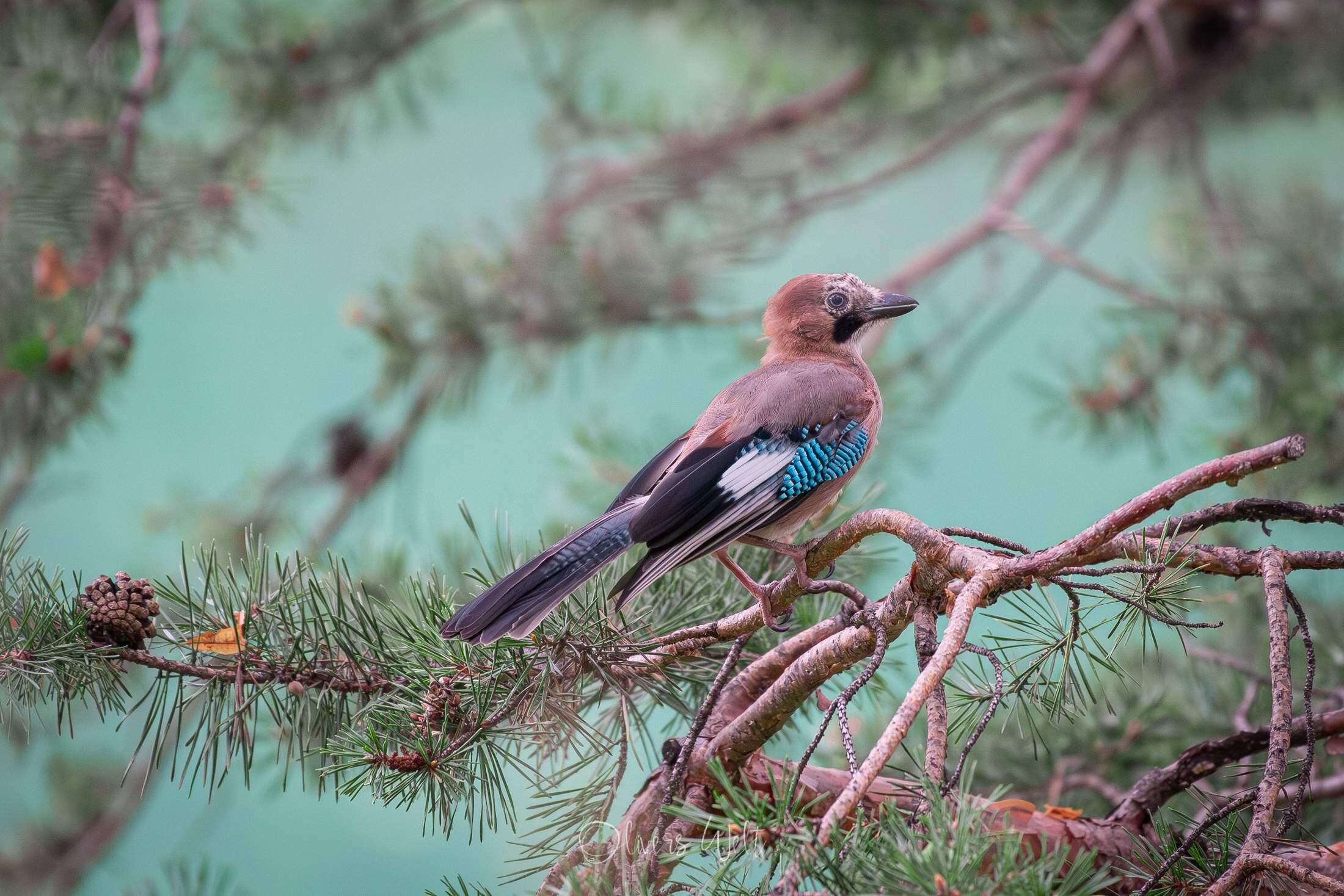 Bild ohne Beschreibung Bild ohne Beschreibung