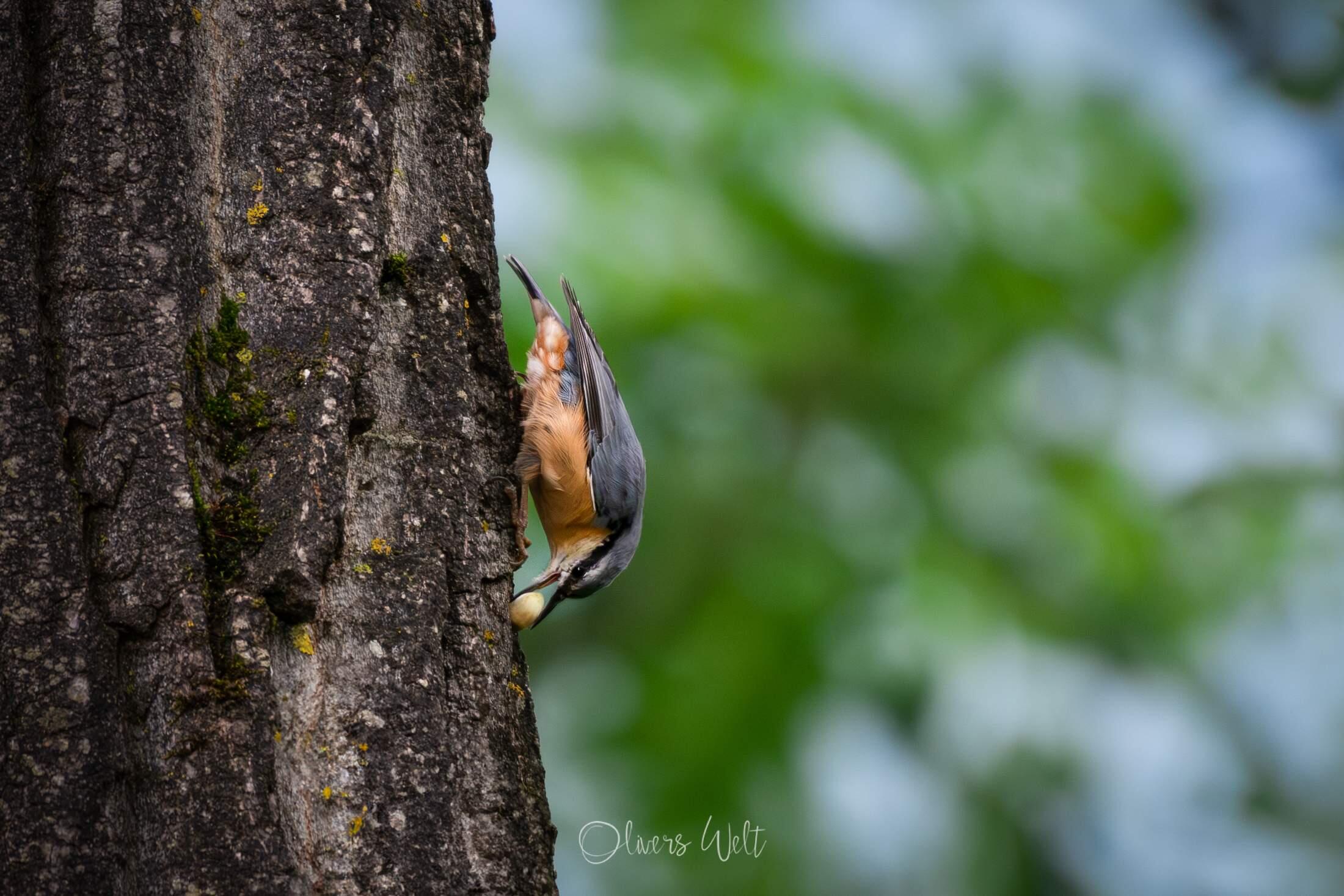 Bild ohne Beschreibung Bild ohne Beschreibung