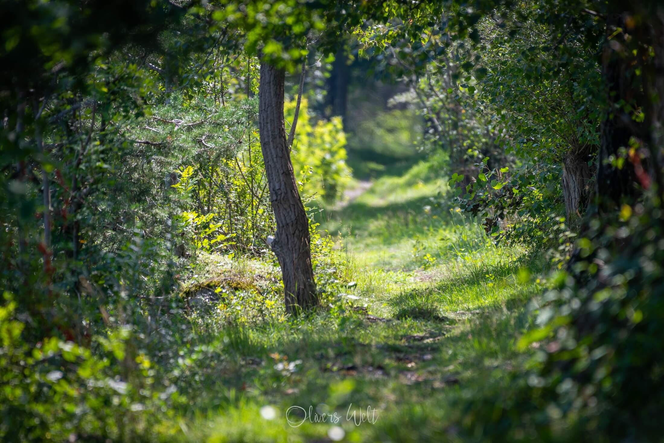 Bild ohne Beschreibung Bild ohne Beschreibung