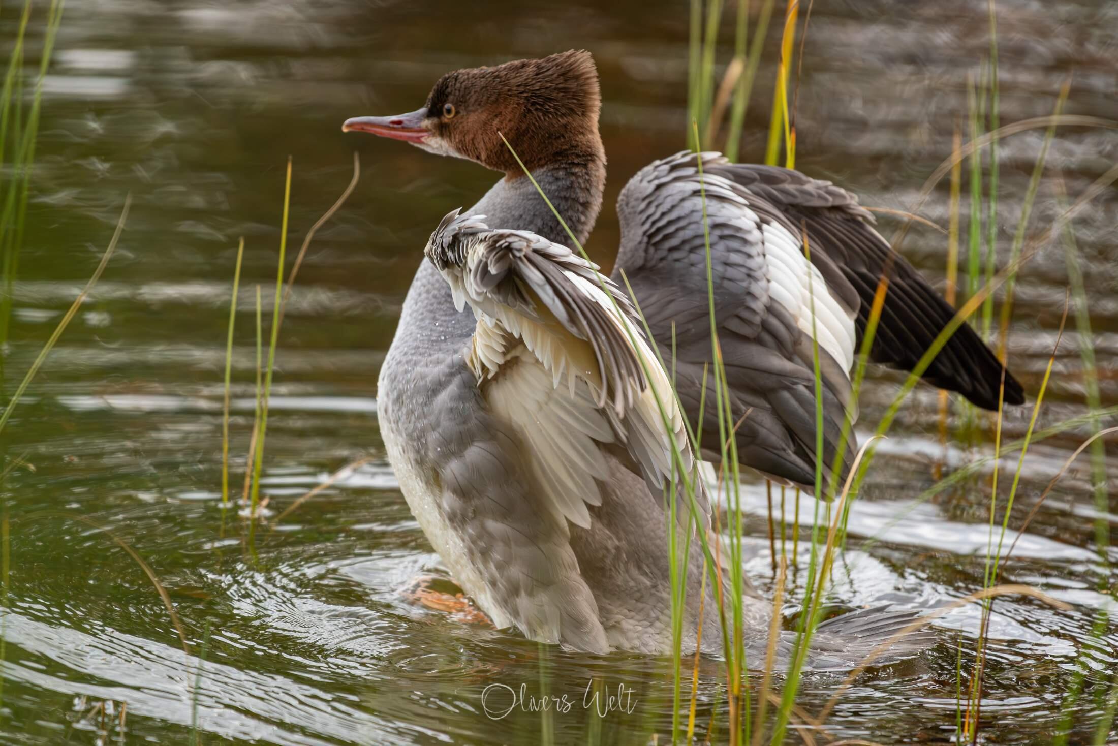 Bild ohne Beschreibung