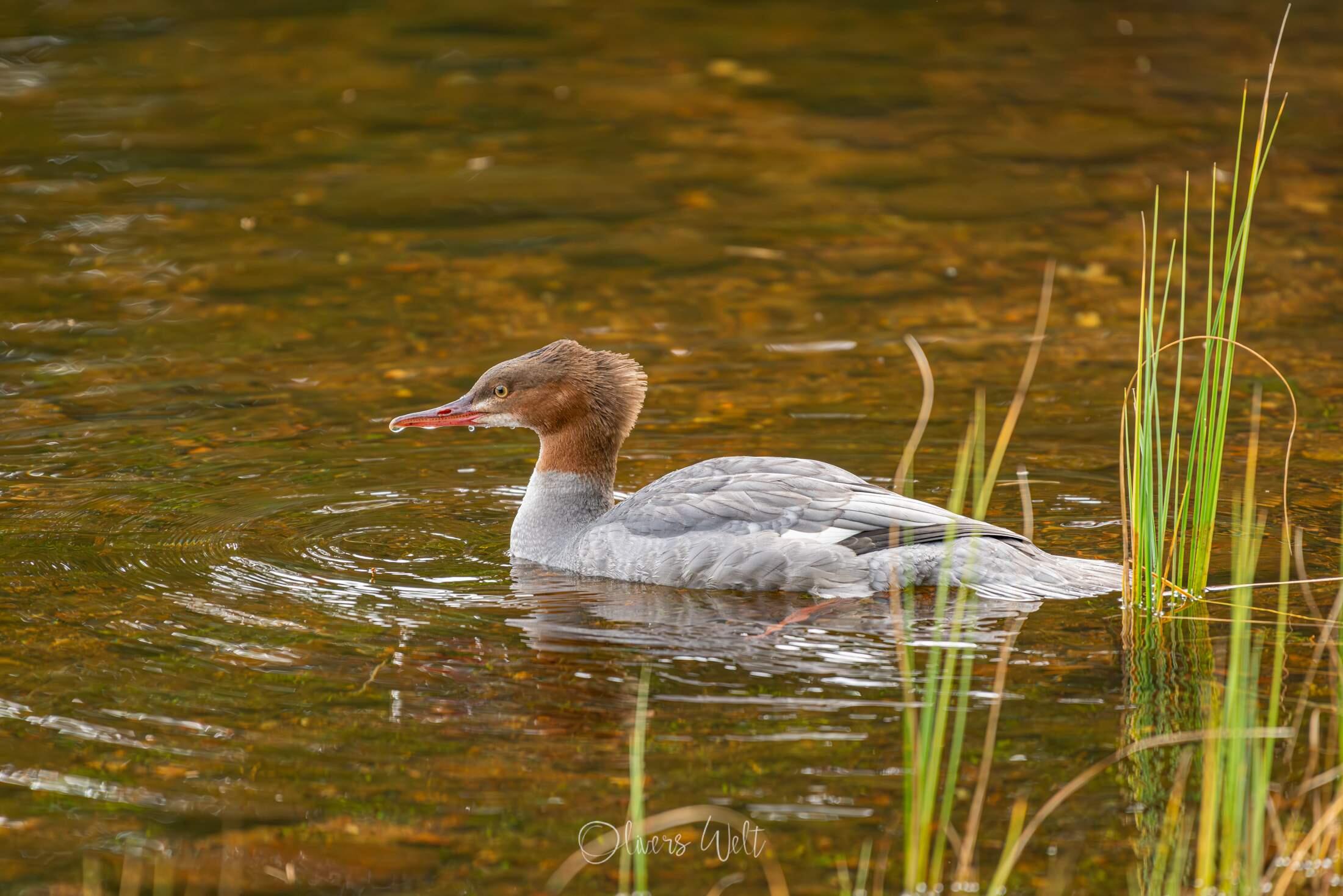 Bild ohne Beschreibung