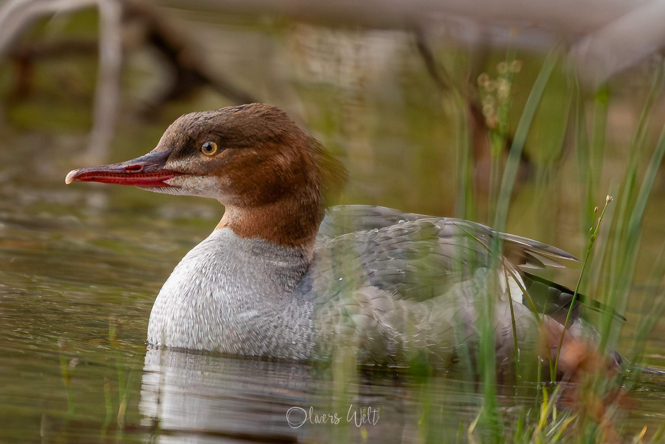 Bild ohne Beschreibung