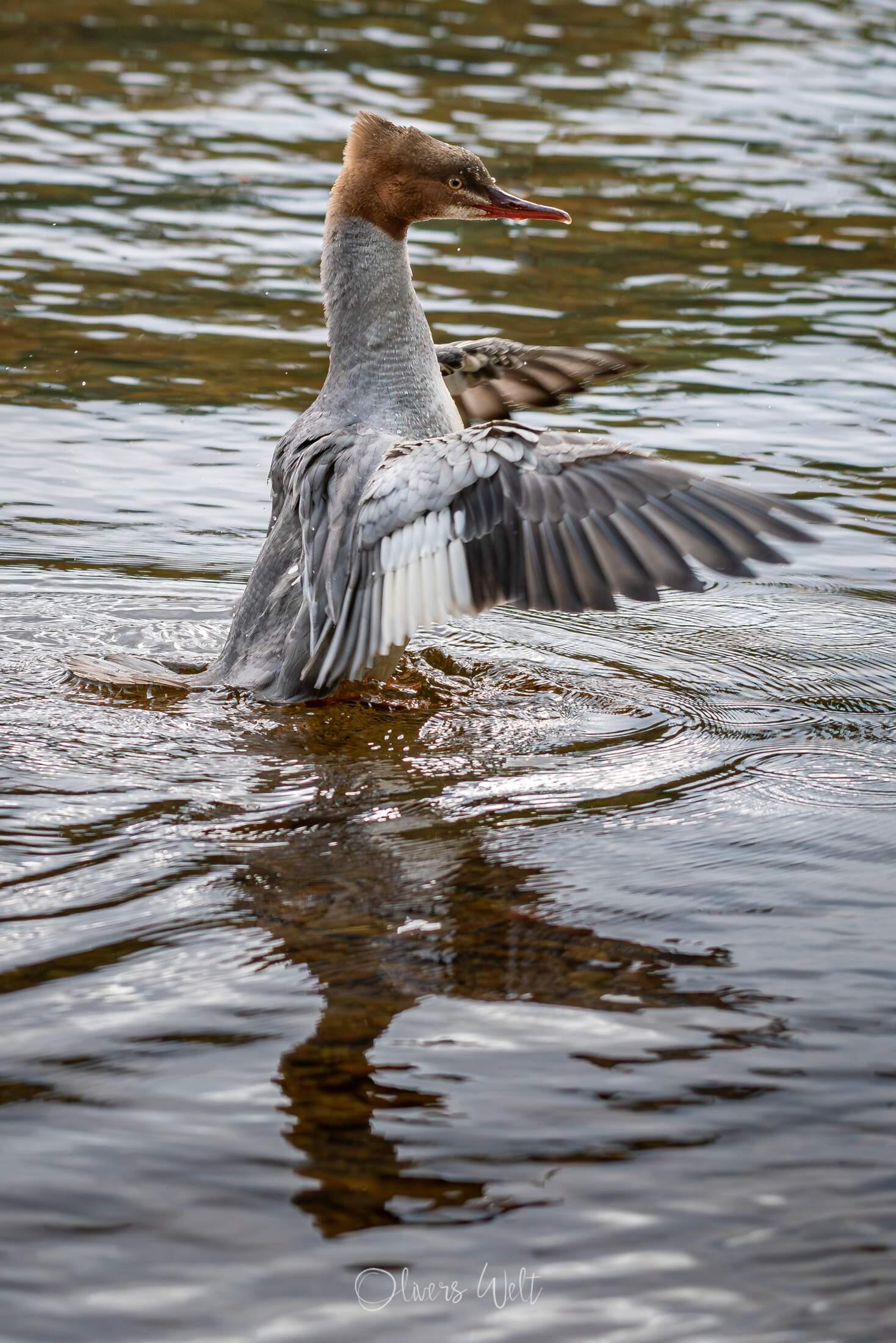 Bild ohne Beschreibung