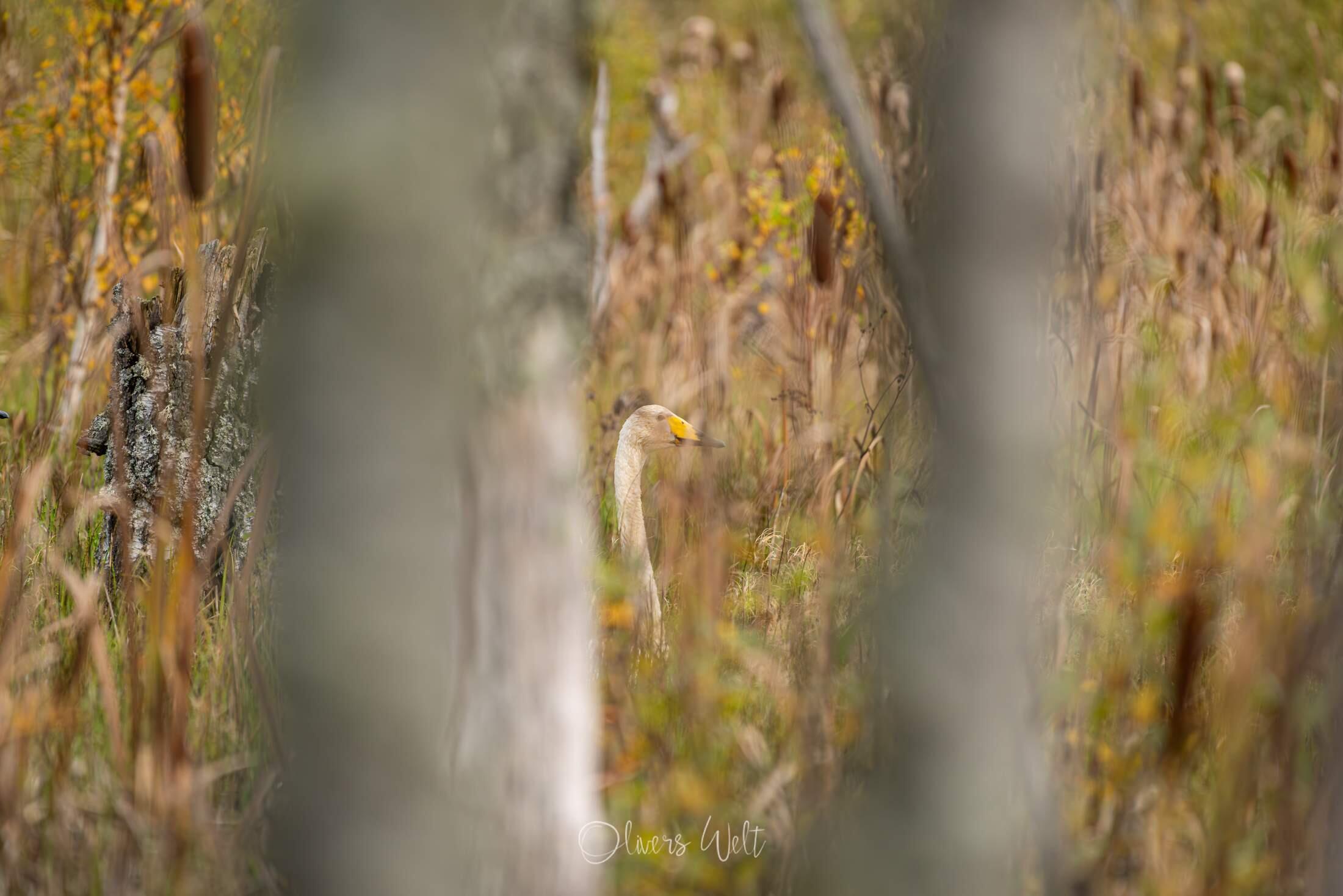 Bild ohne Beschreibung Bild ohne Beschreibung