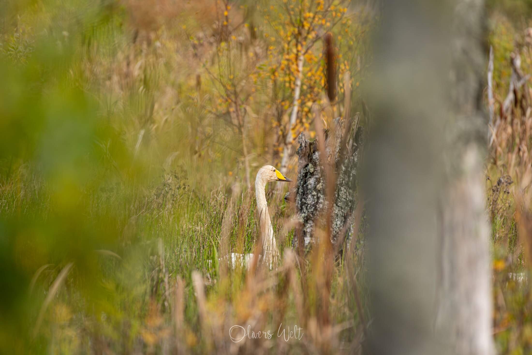 Bild ohne Beschreibung Bild ohne Beschreibung