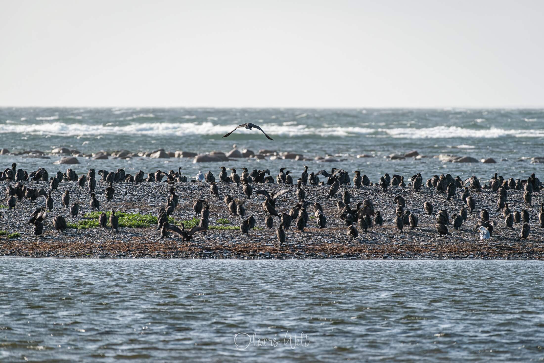 Bild ohne Beschreibung