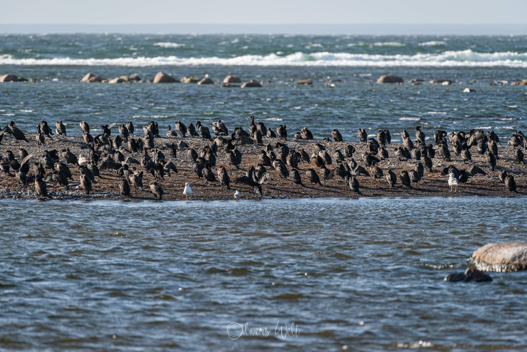Bild ohne Beschreibung