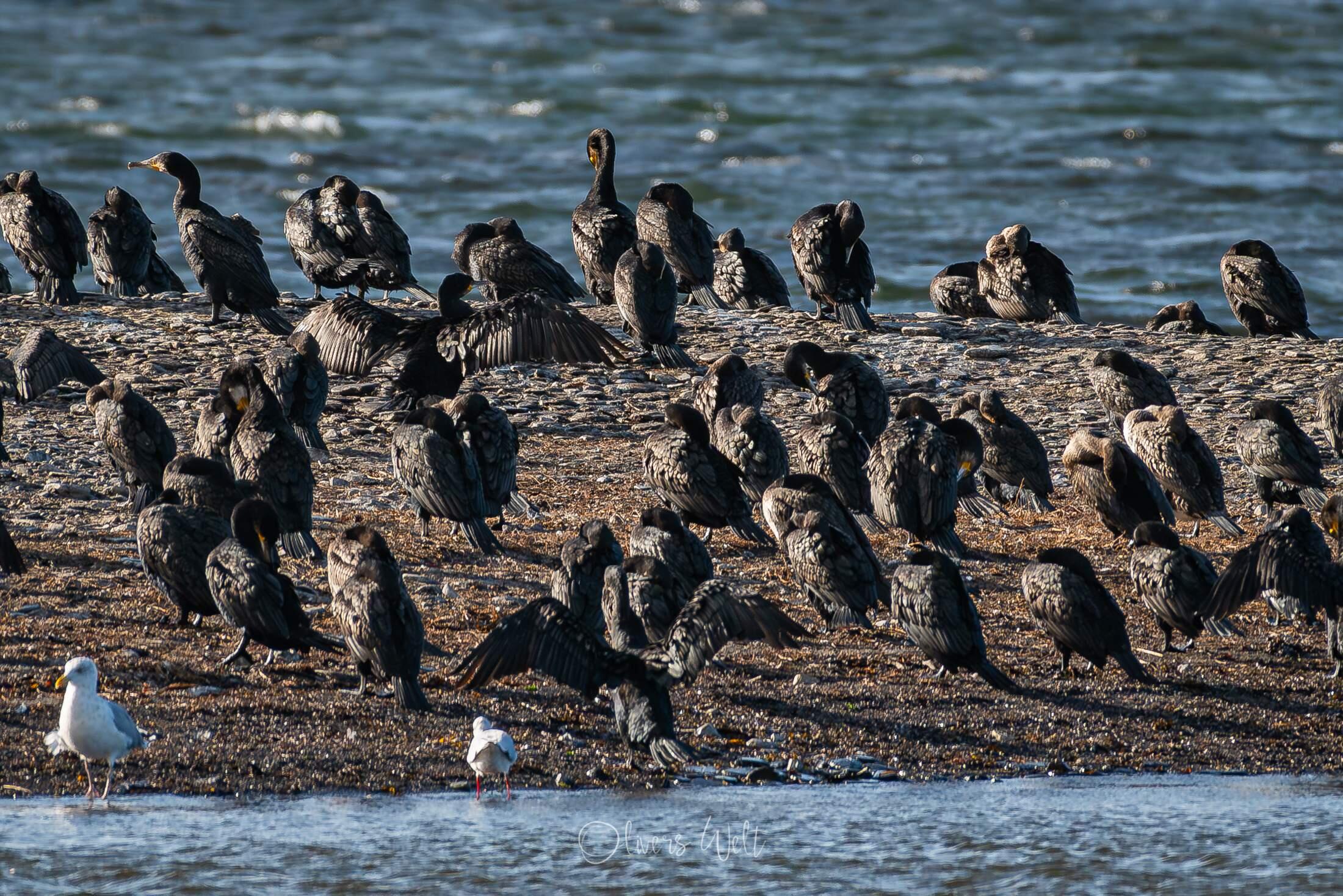 Bild ohne Beschreibung