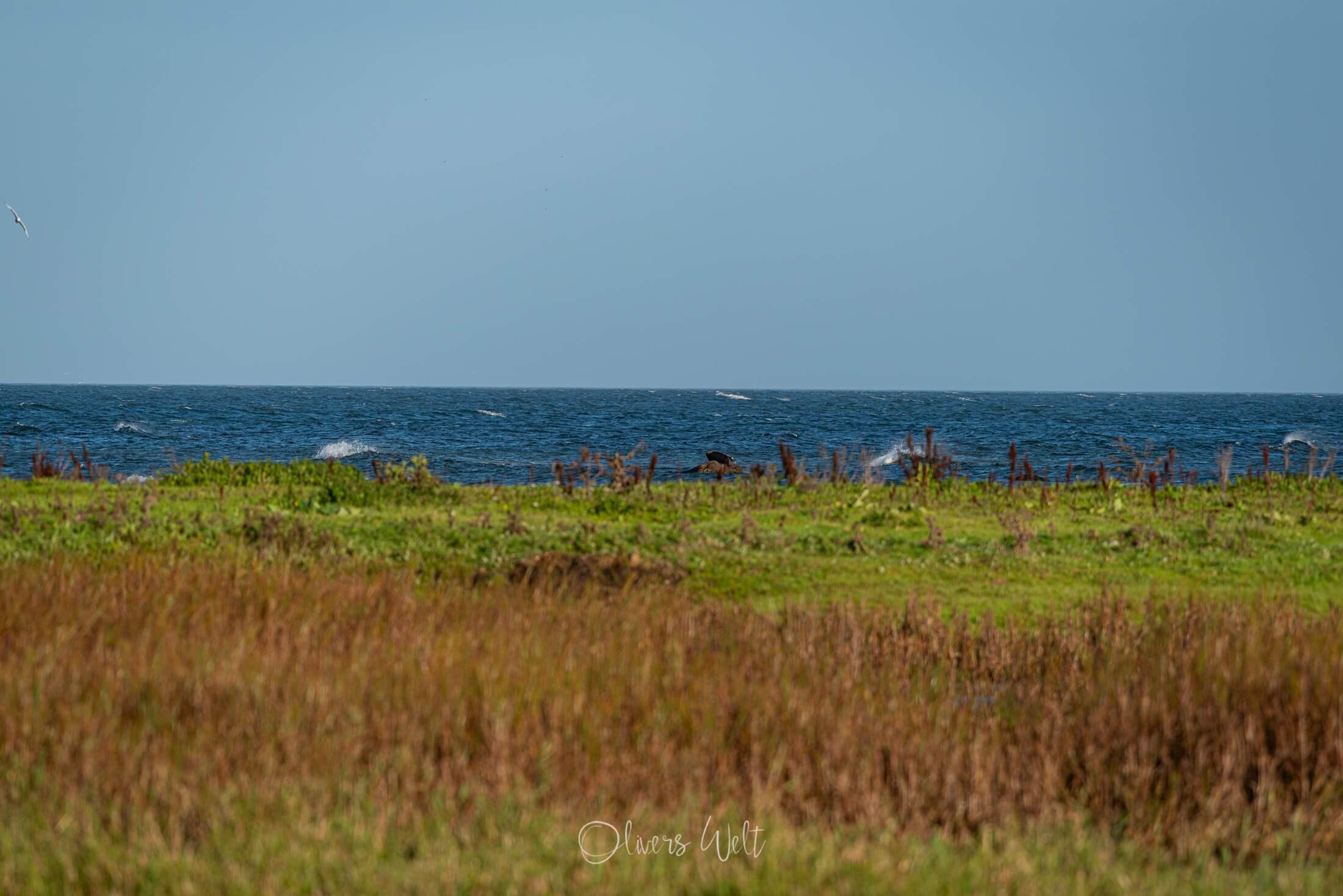 Bild ohne Beschreibung