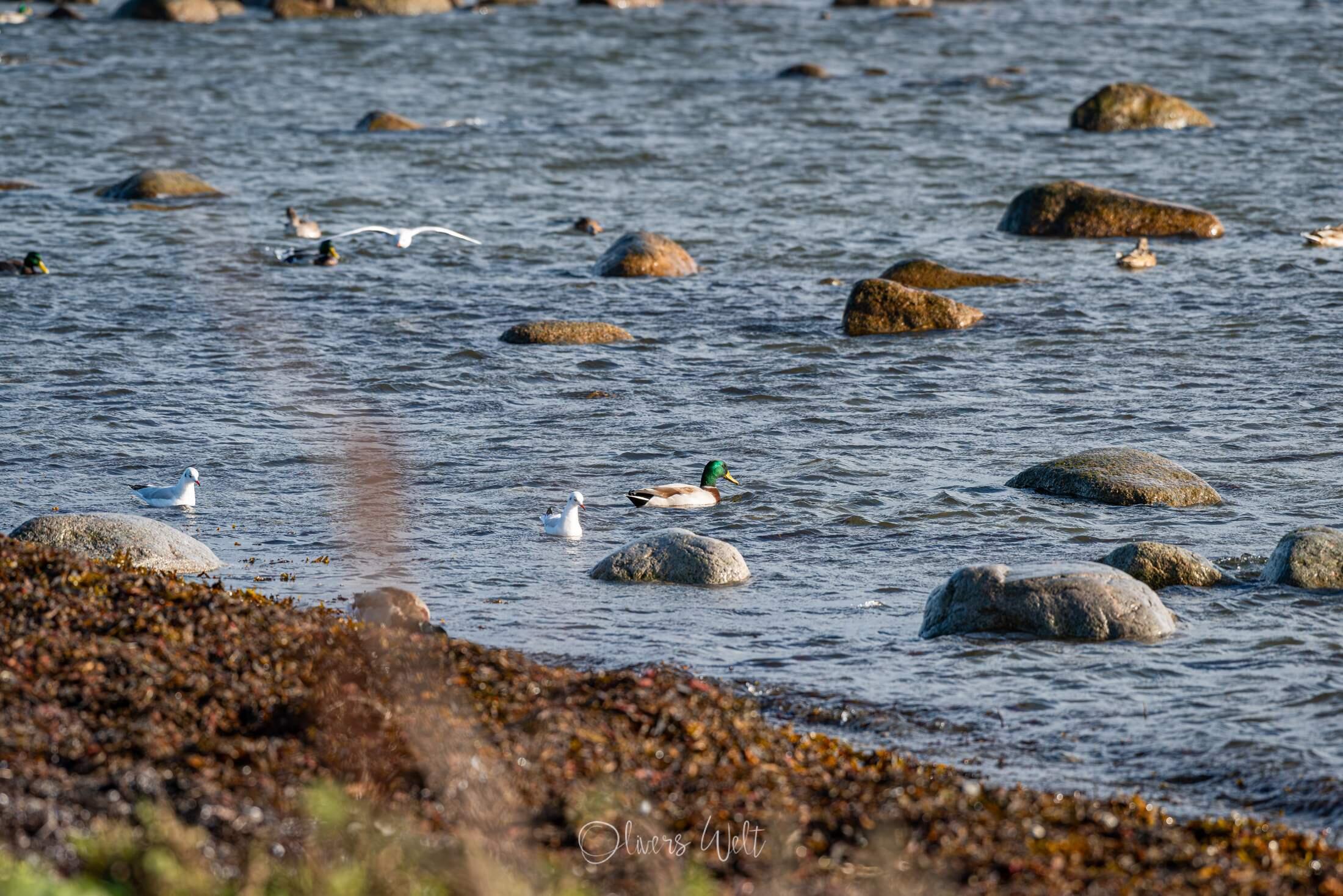 Bild ohne Beschreibung