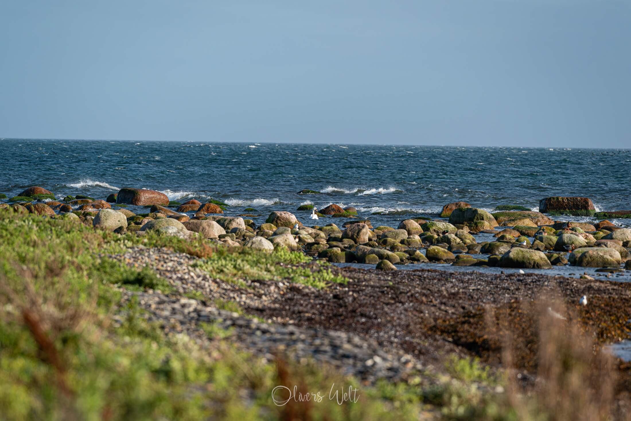 Bild ohne Beschreibung