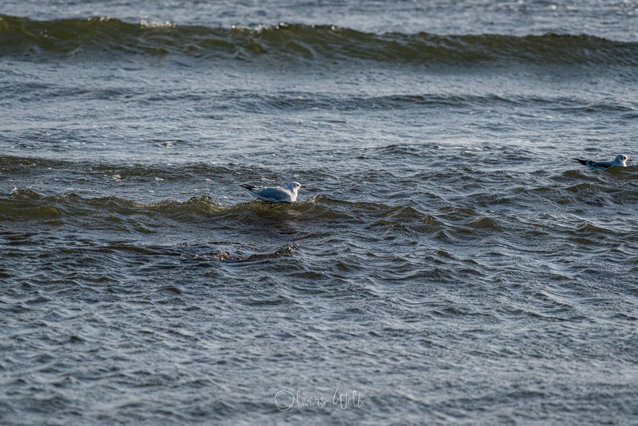 Bild ohne Beschreibung