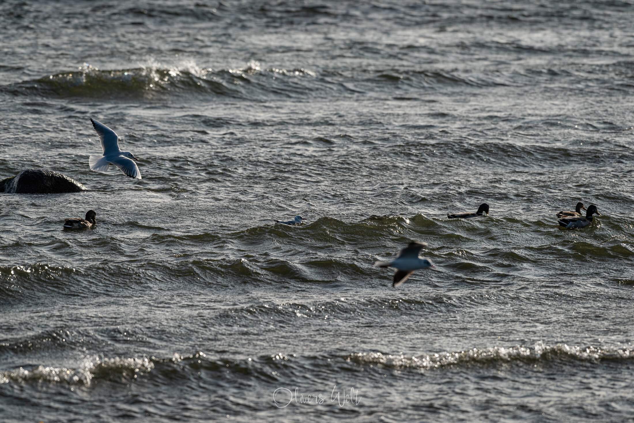 Bild ohne Beschreibung