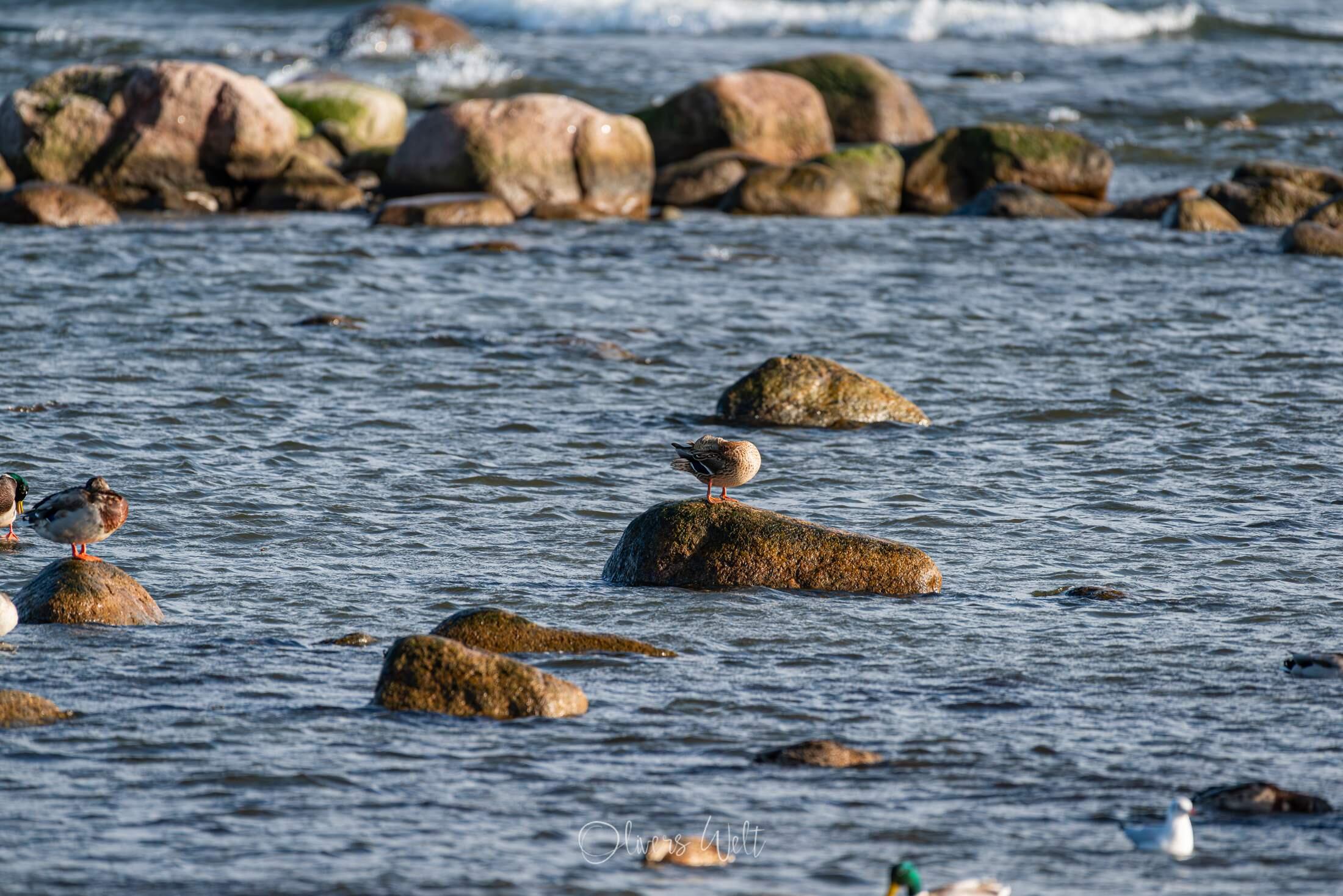 Bild ohne Beschreibung