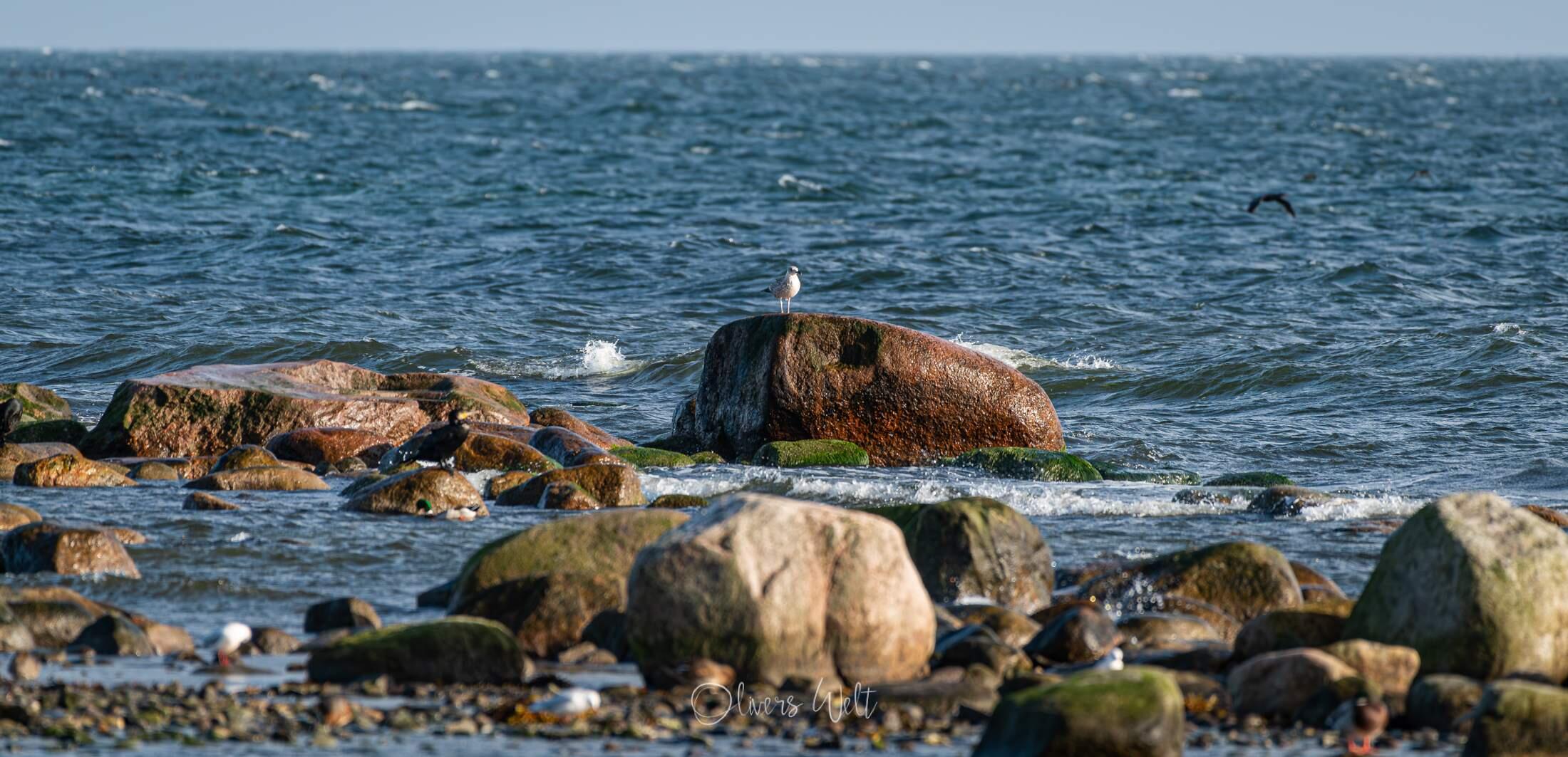 Bild ohne Beschreibung