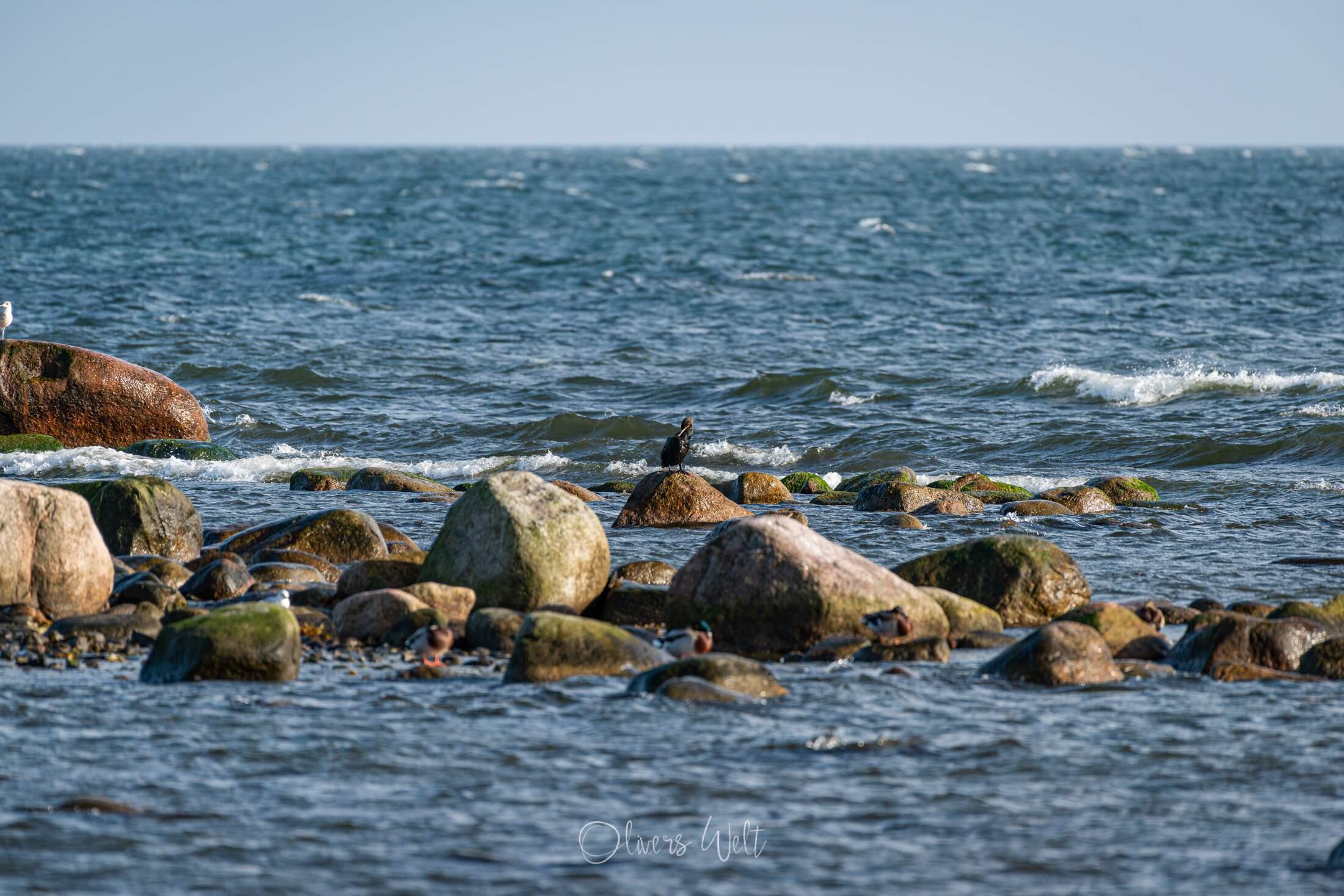 Bild ohne Beschreibung