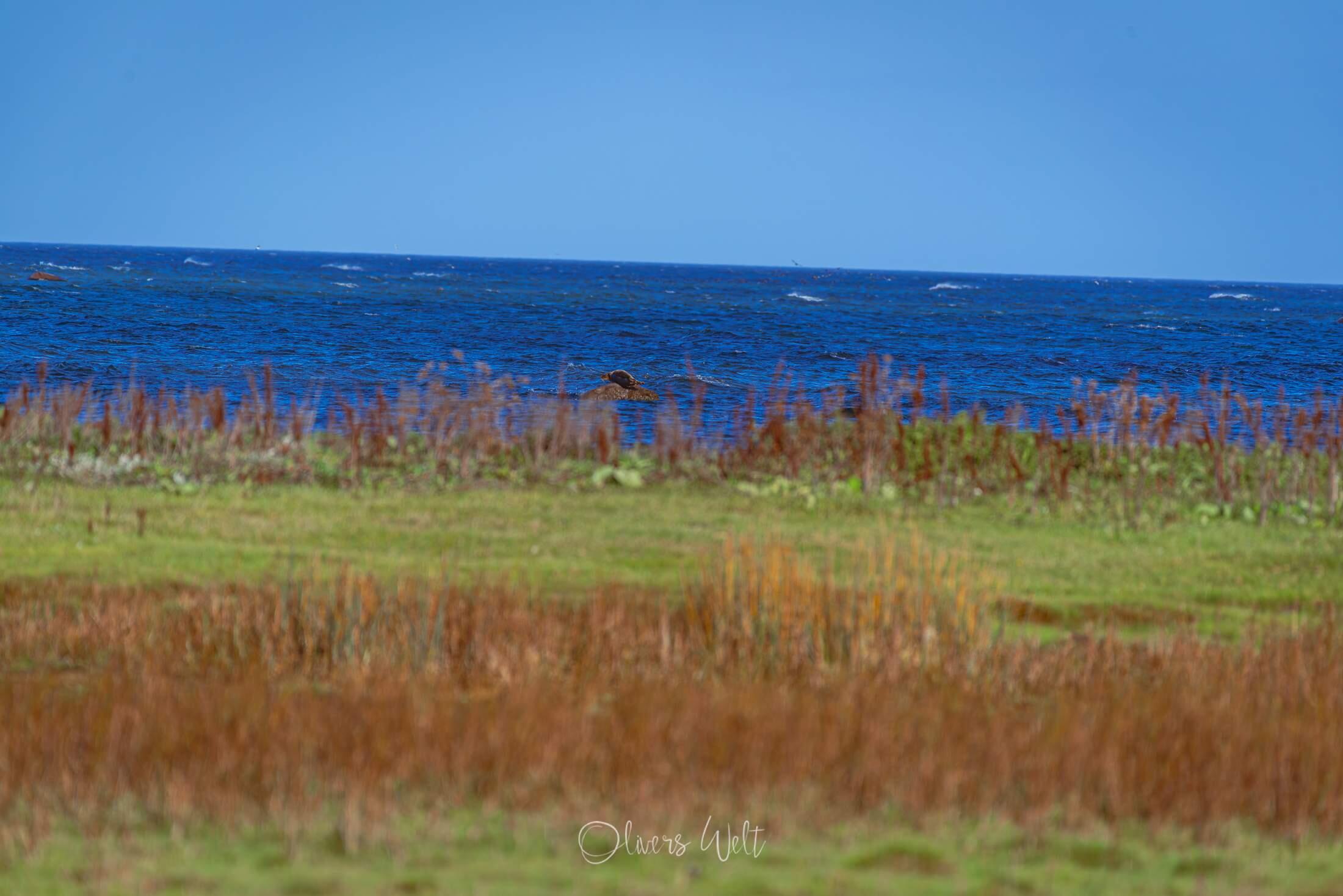 Bild ohne Beschreibung