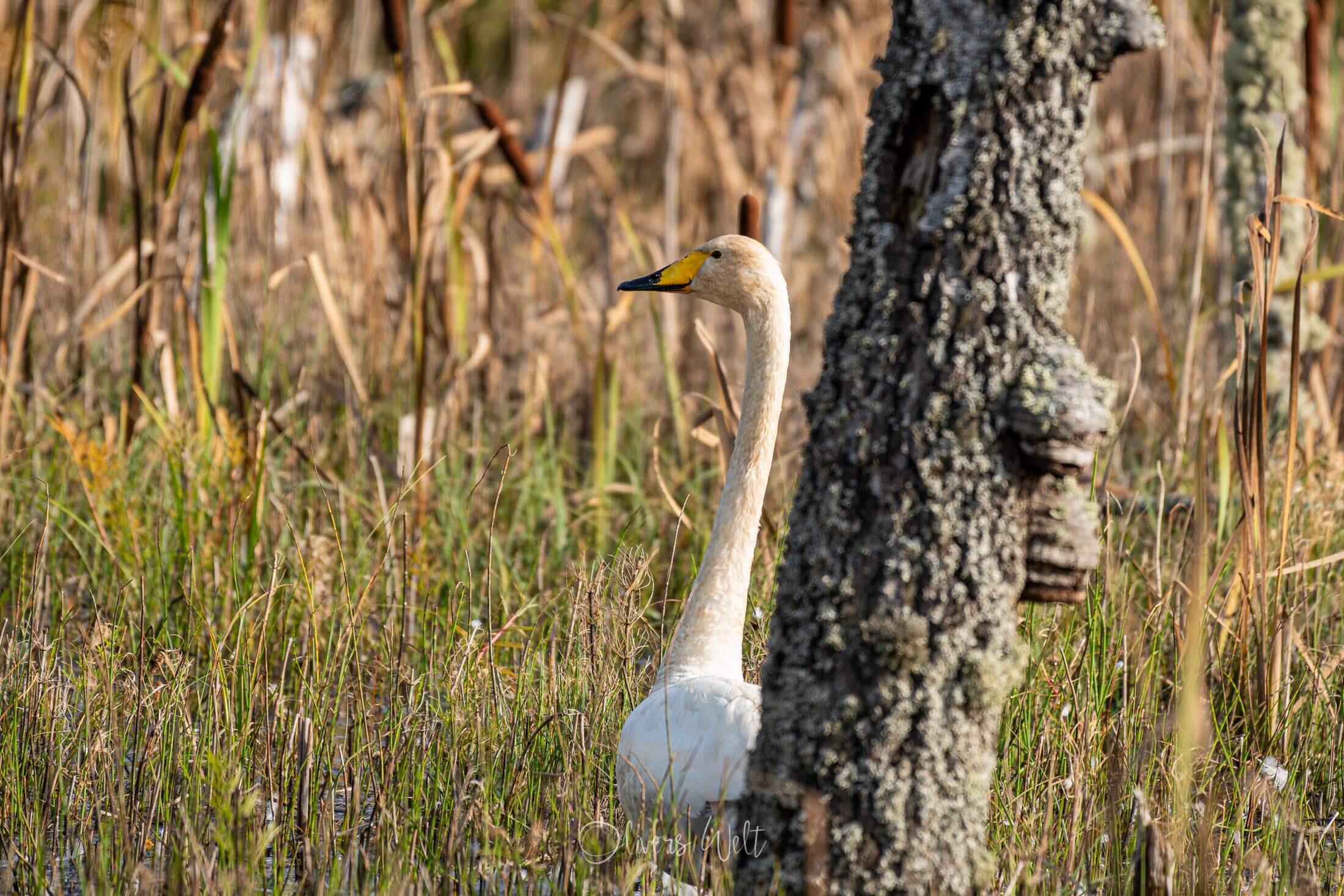 Bild ohne Beschreibung Bild ohne Beschreibung