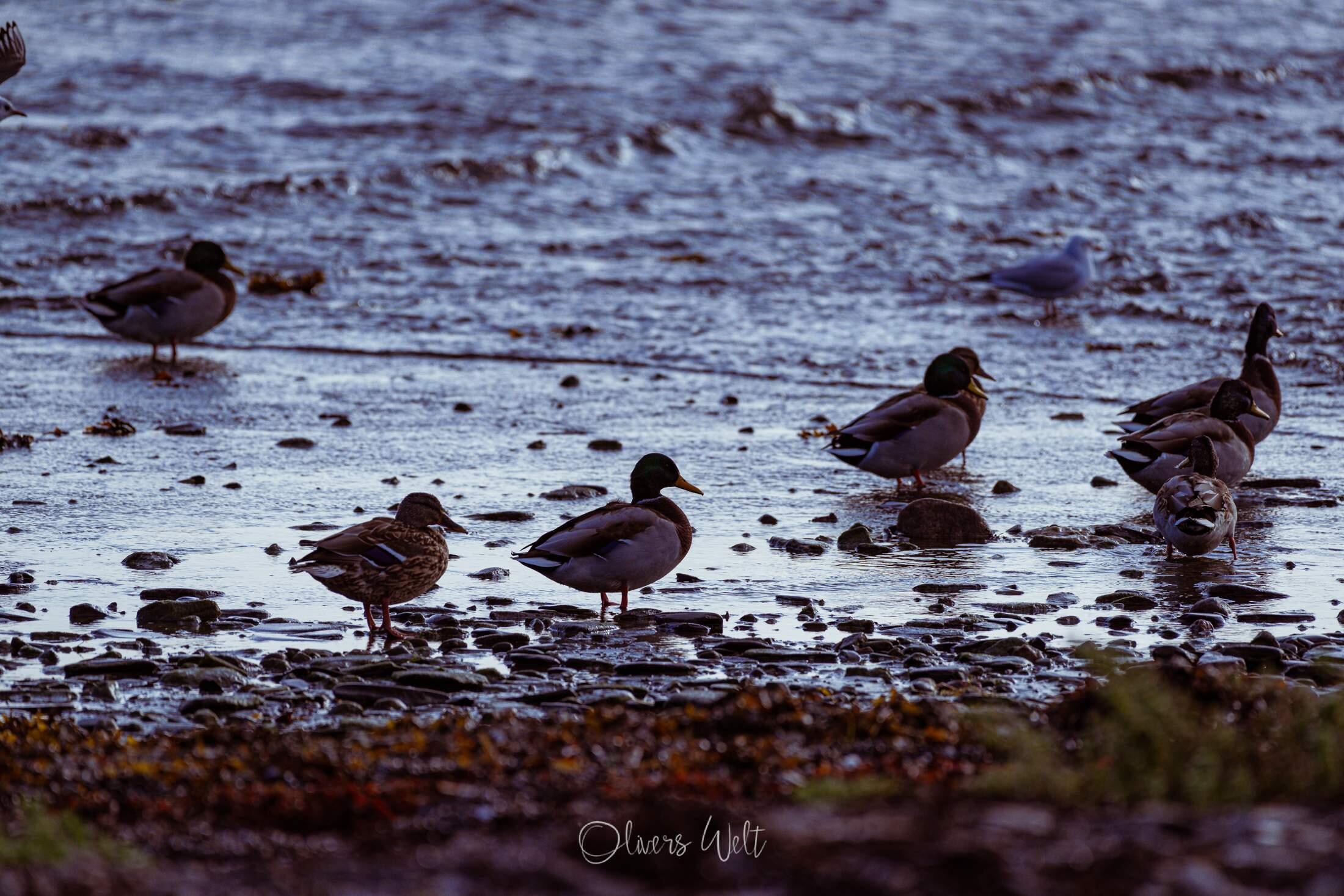 Bild ohne Beschreibung