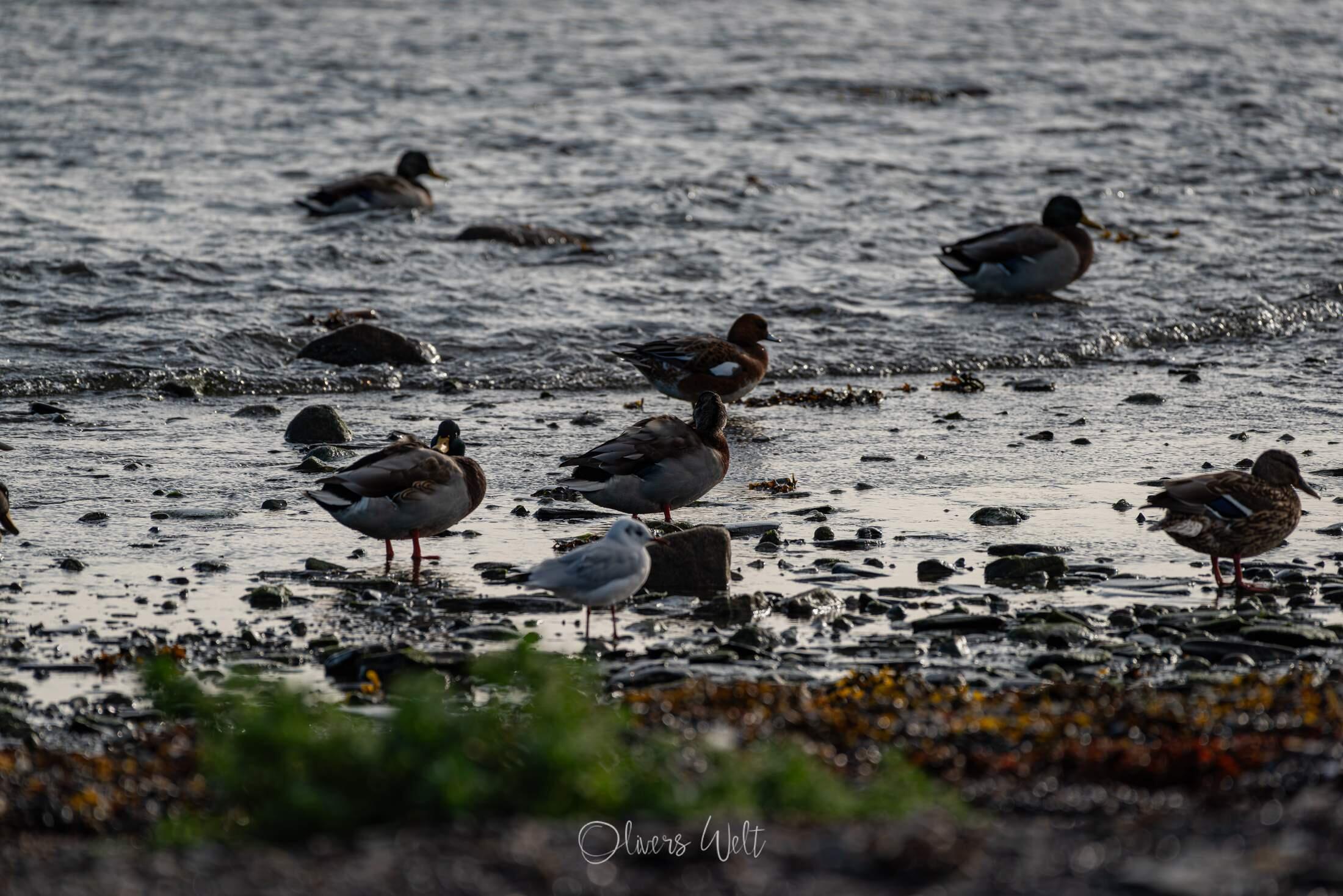 Bild ohne Beschreibung