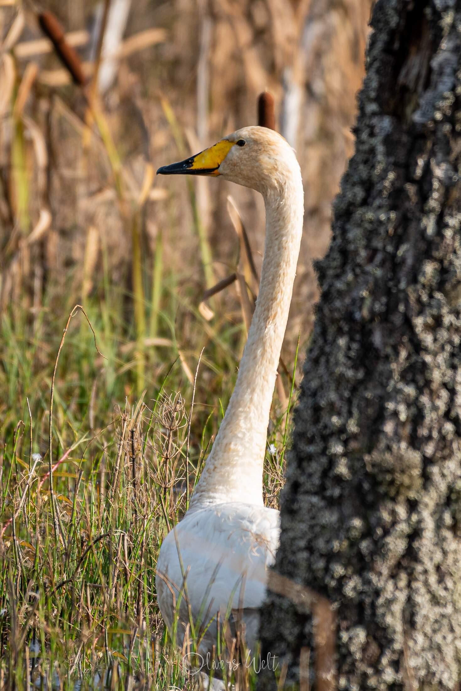 Bild ohne Beschreibung Bild ohne Beschreibung