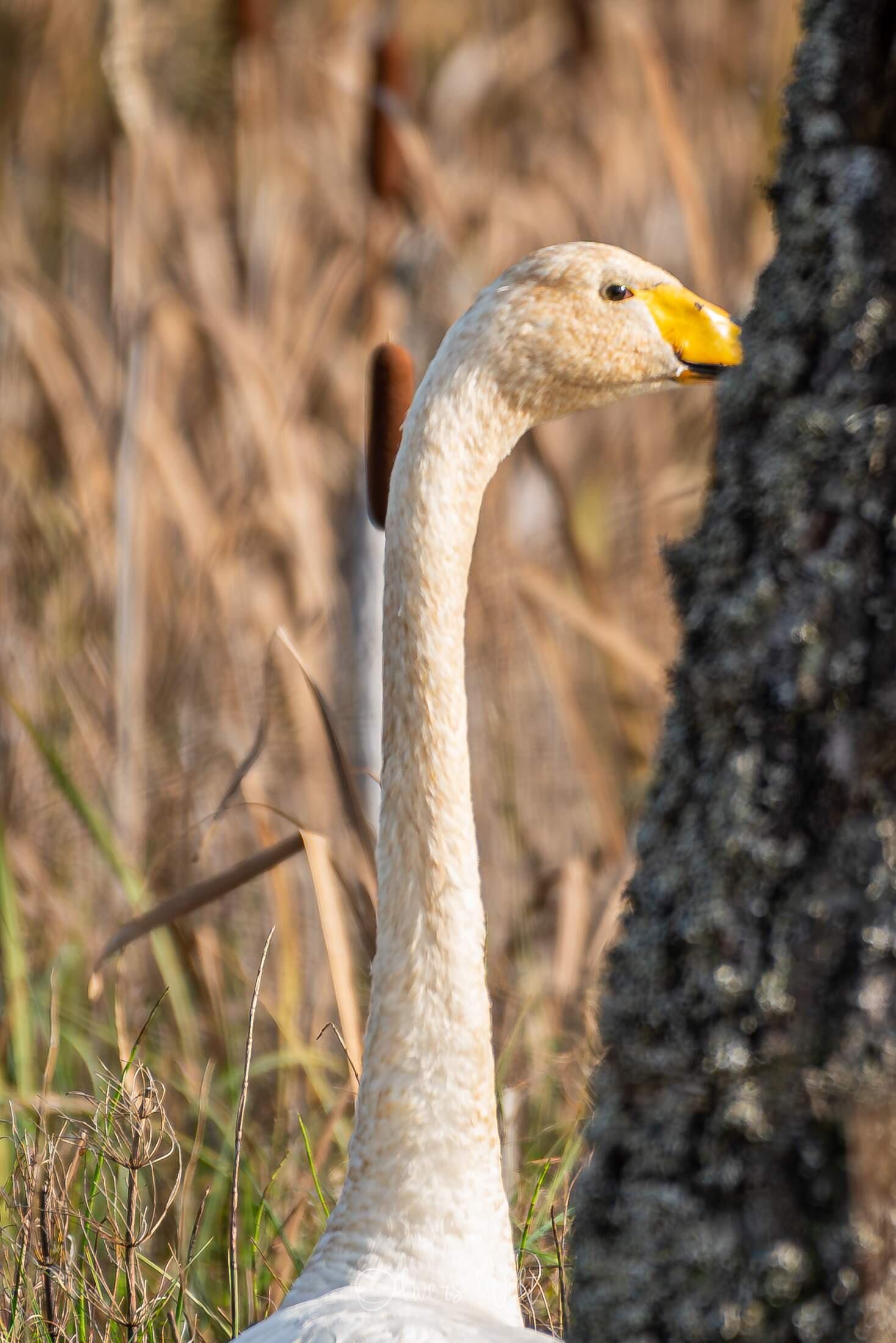 Bild ohne Beschreibung Bild ohne Beschreibung