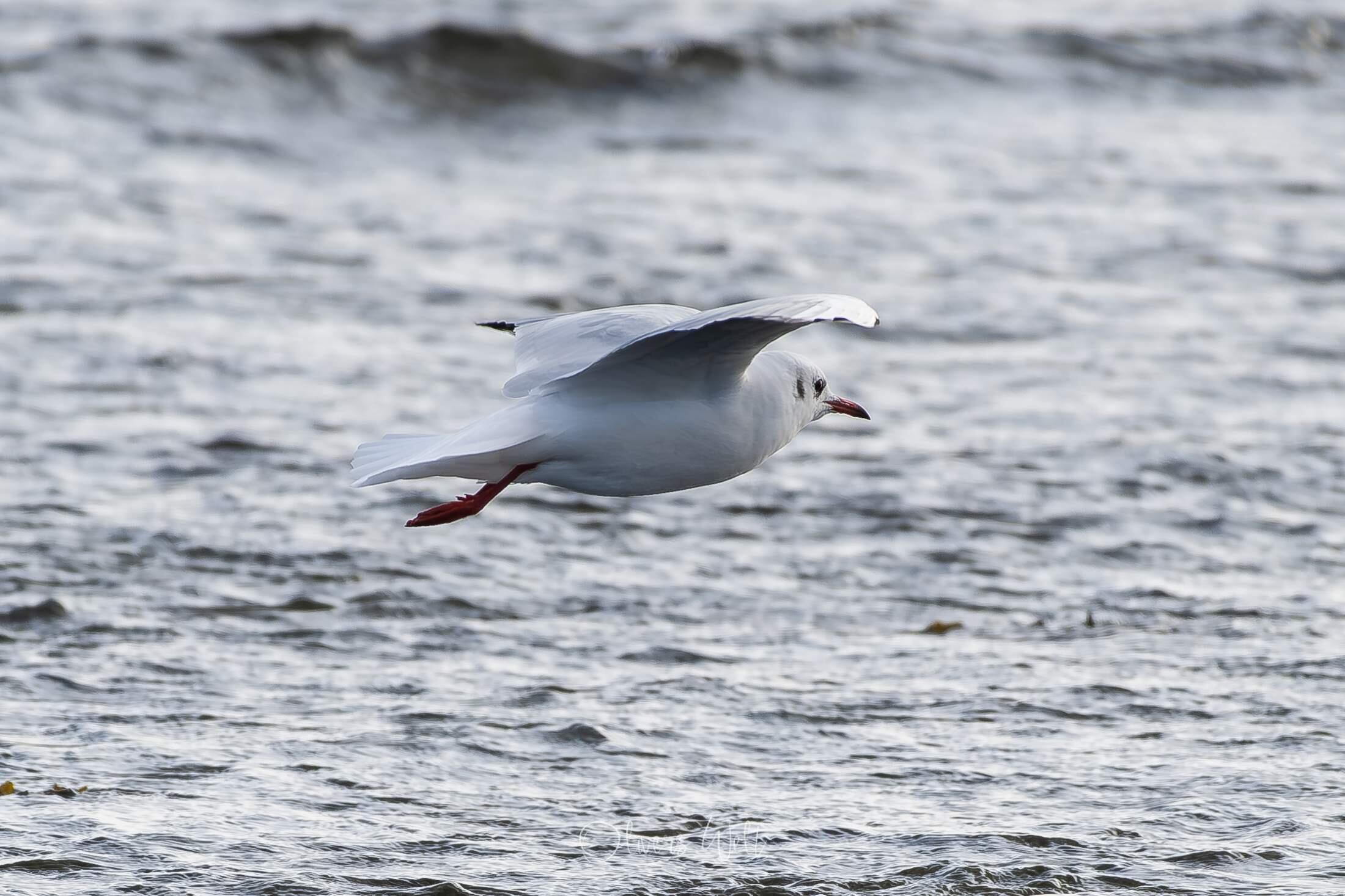 Bild ohne Beschreibung