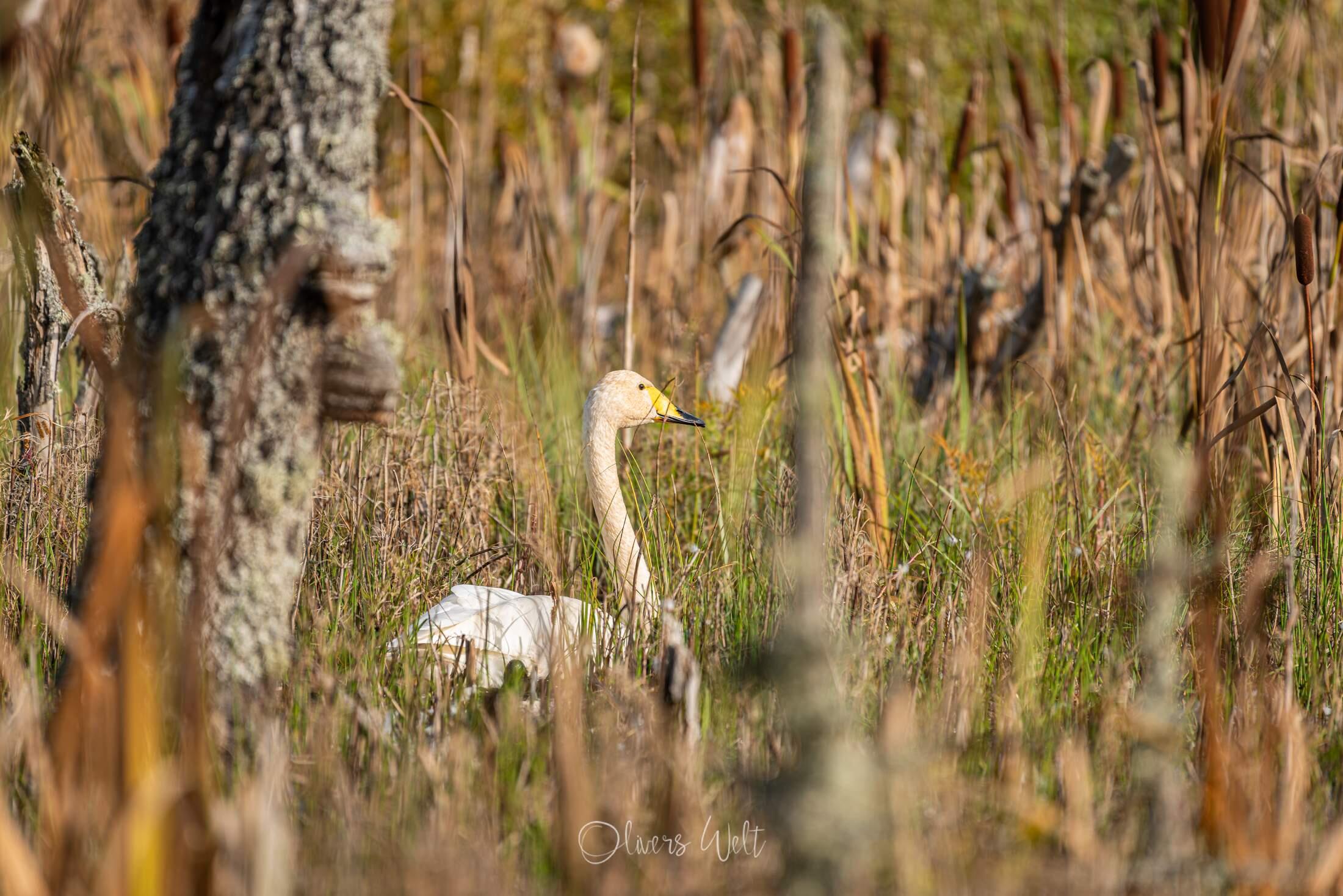 Bild ohne Beschreibung Bild ohne Beschreibung