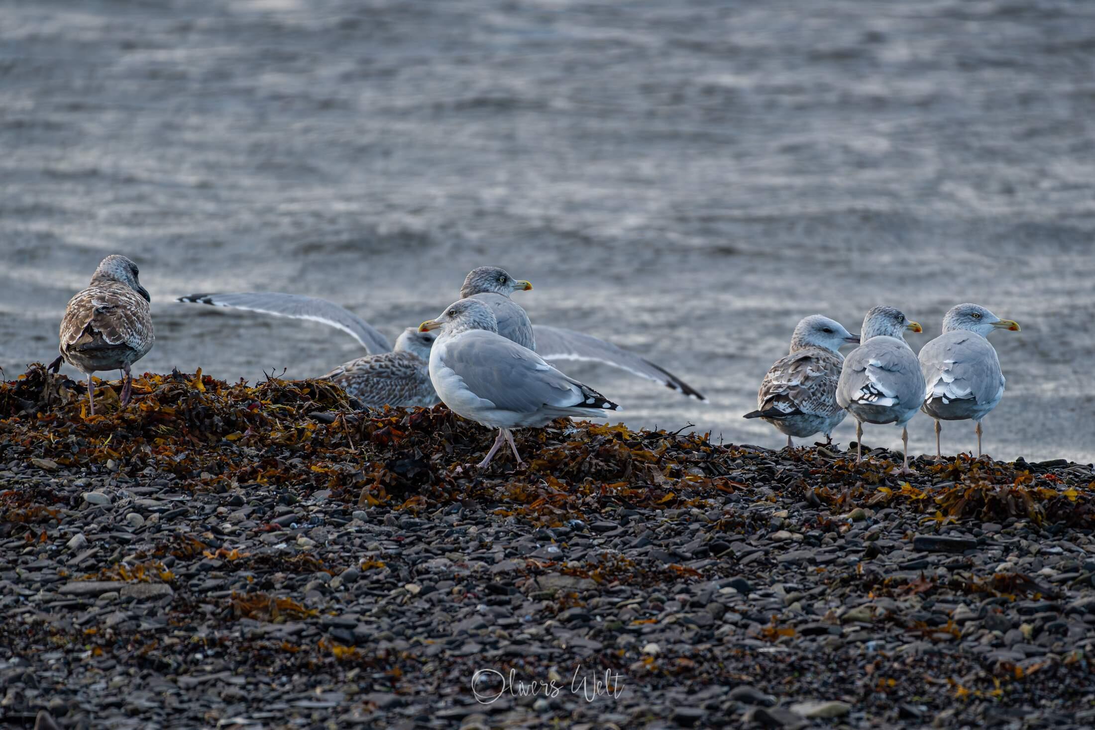 Bild ohne Beschreibung