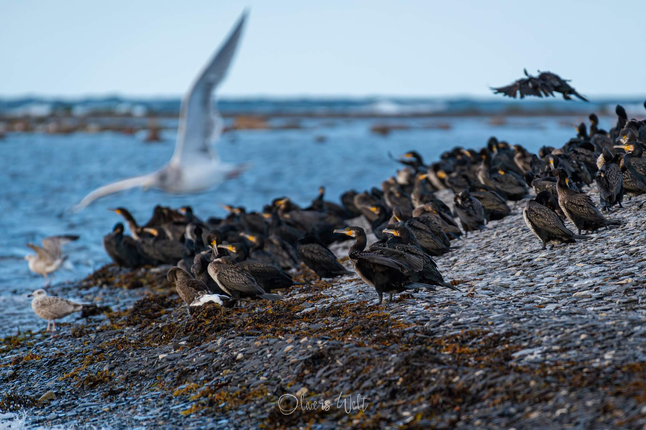 Bild ohne Beschreibung