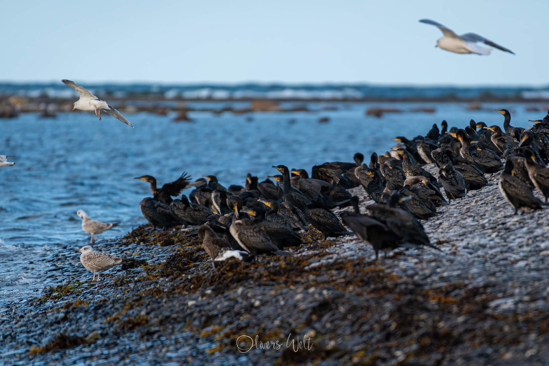 Bild ohne Beschreibung