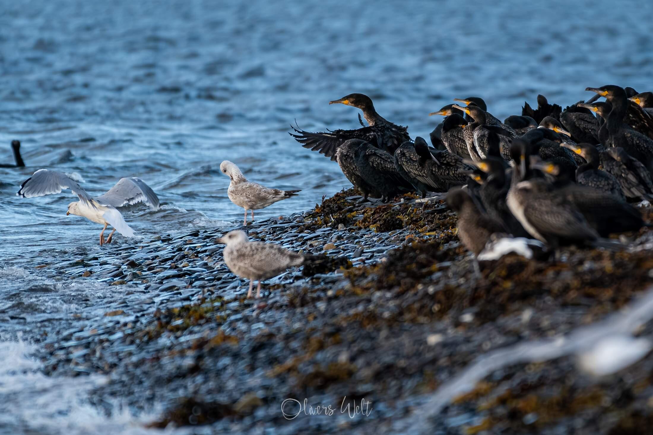 Bild ohne Beschreibung