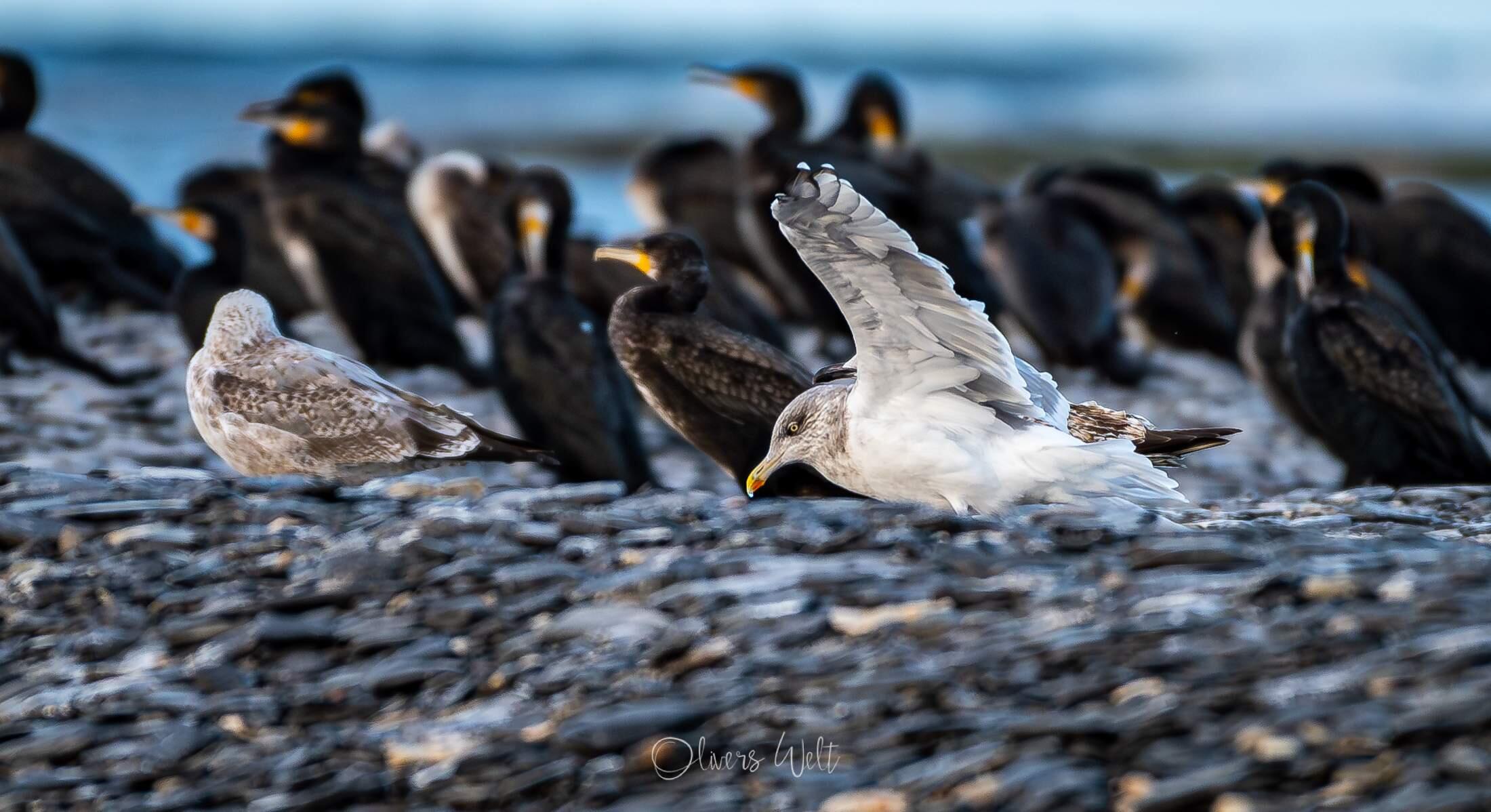 Bild ohne Beschreibung