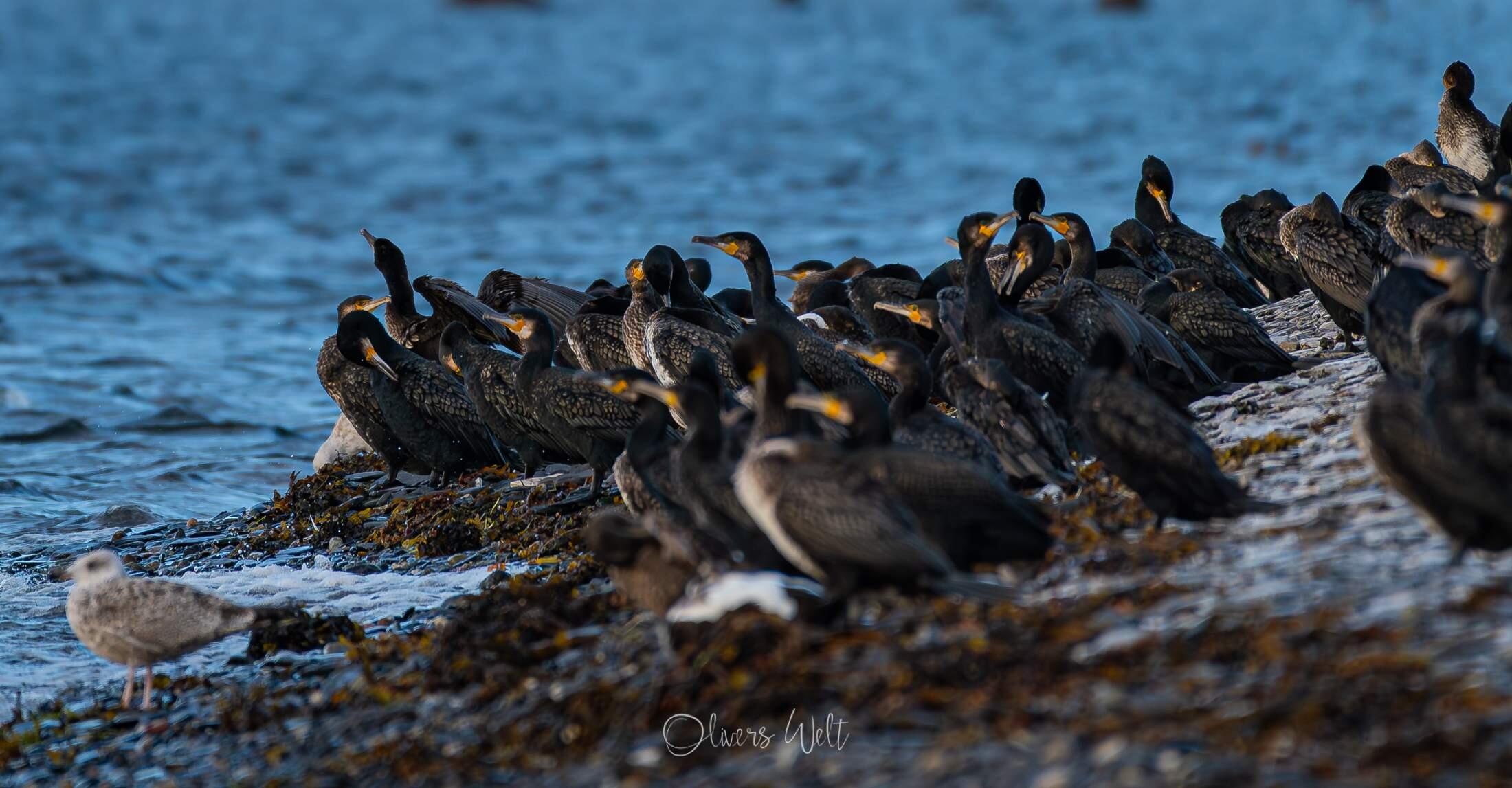 Bild ohne Beschreibung