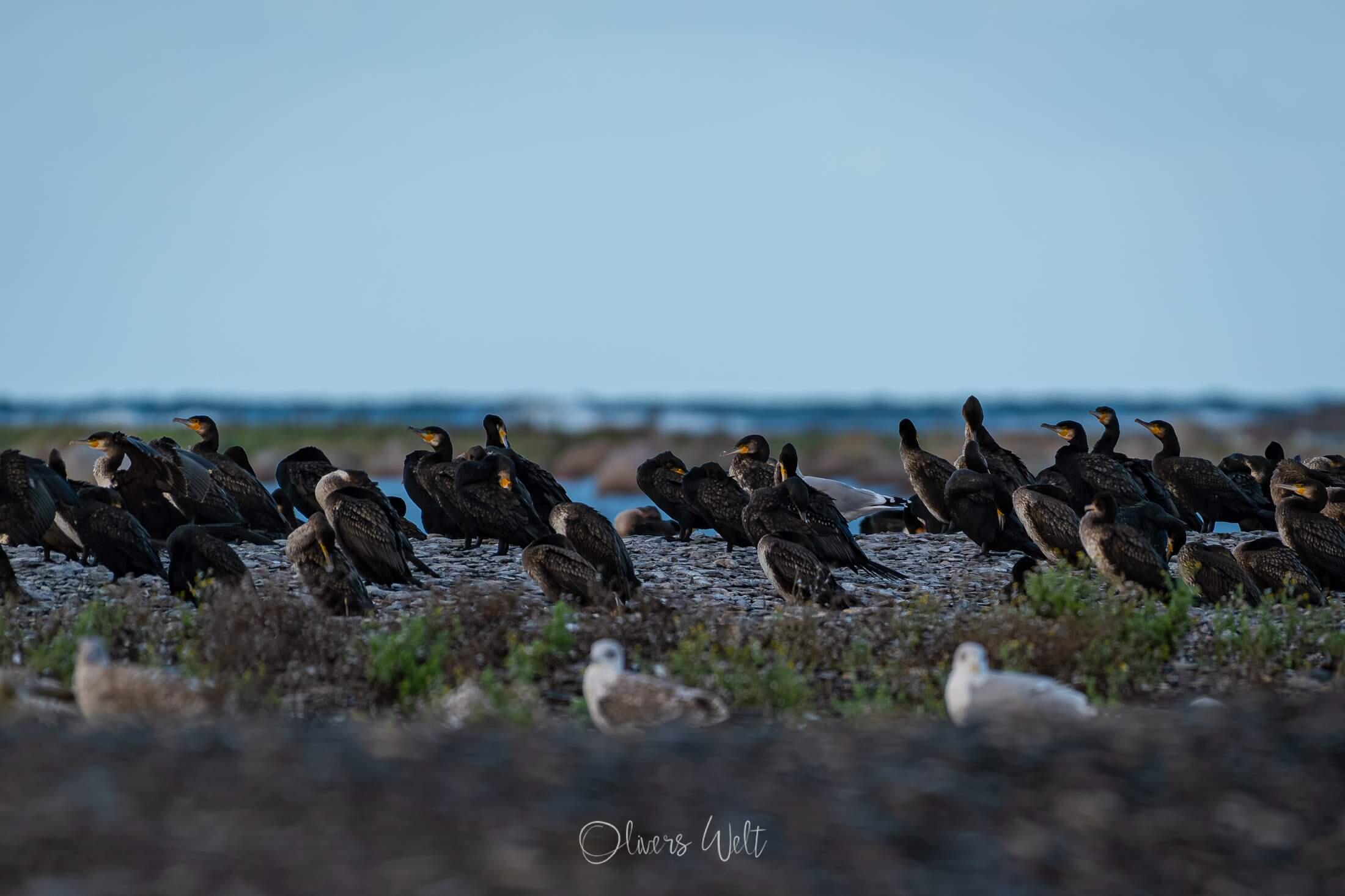 Bild ohne Beschreibung
