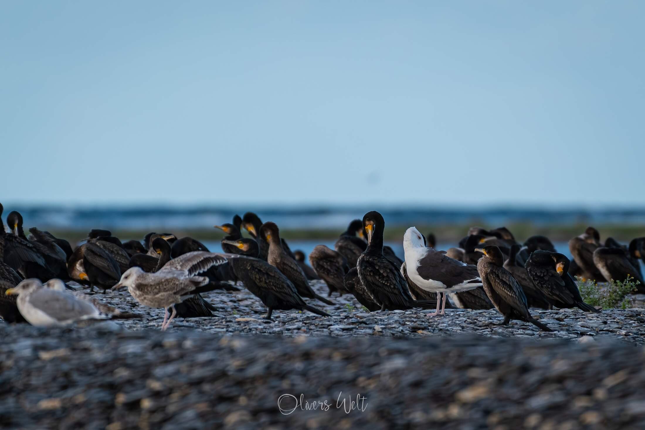 Bild ohne Beschreibung